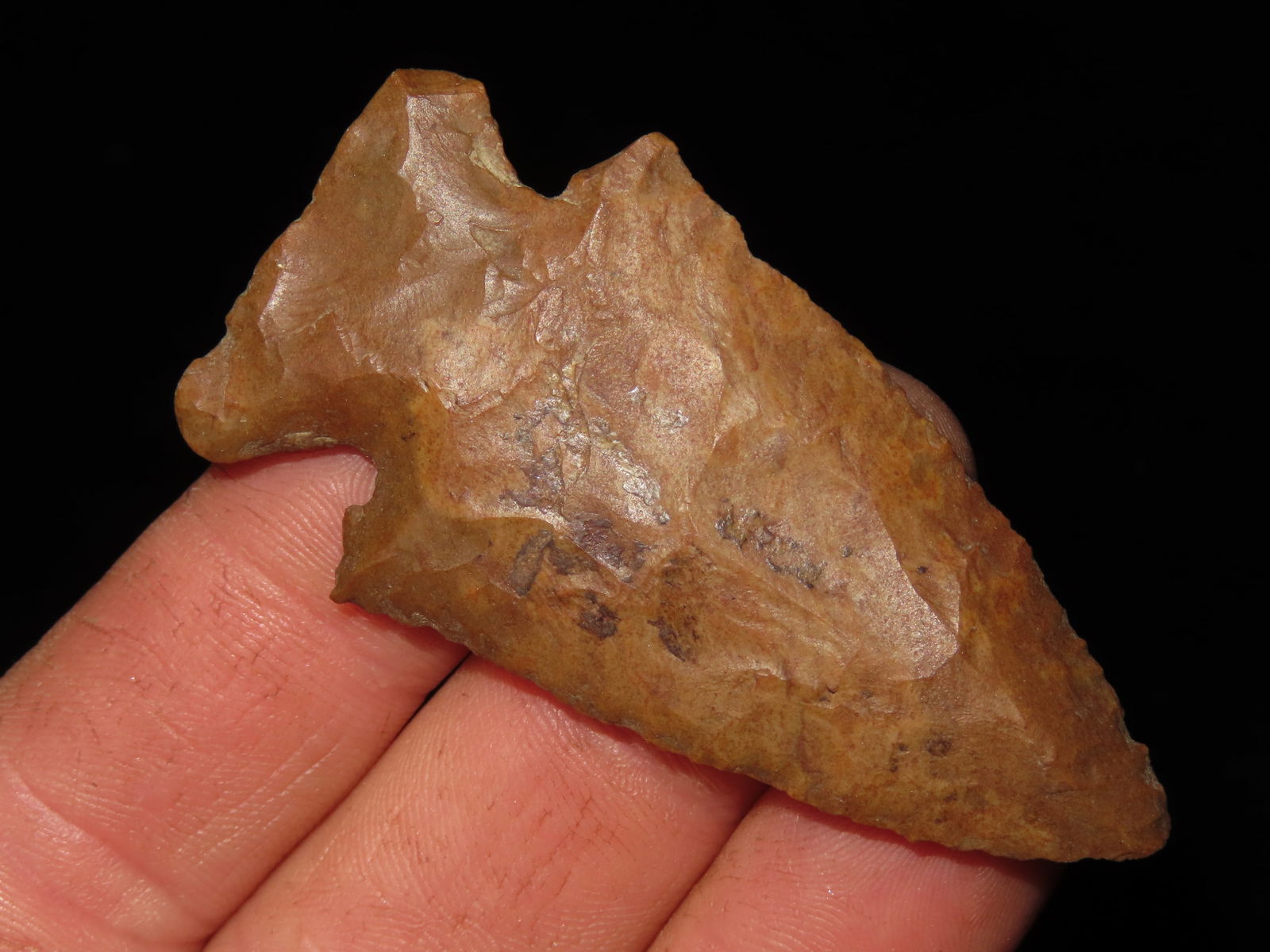 2 1/2" Lost Lake, found in Central Tennessee (1 of 6)