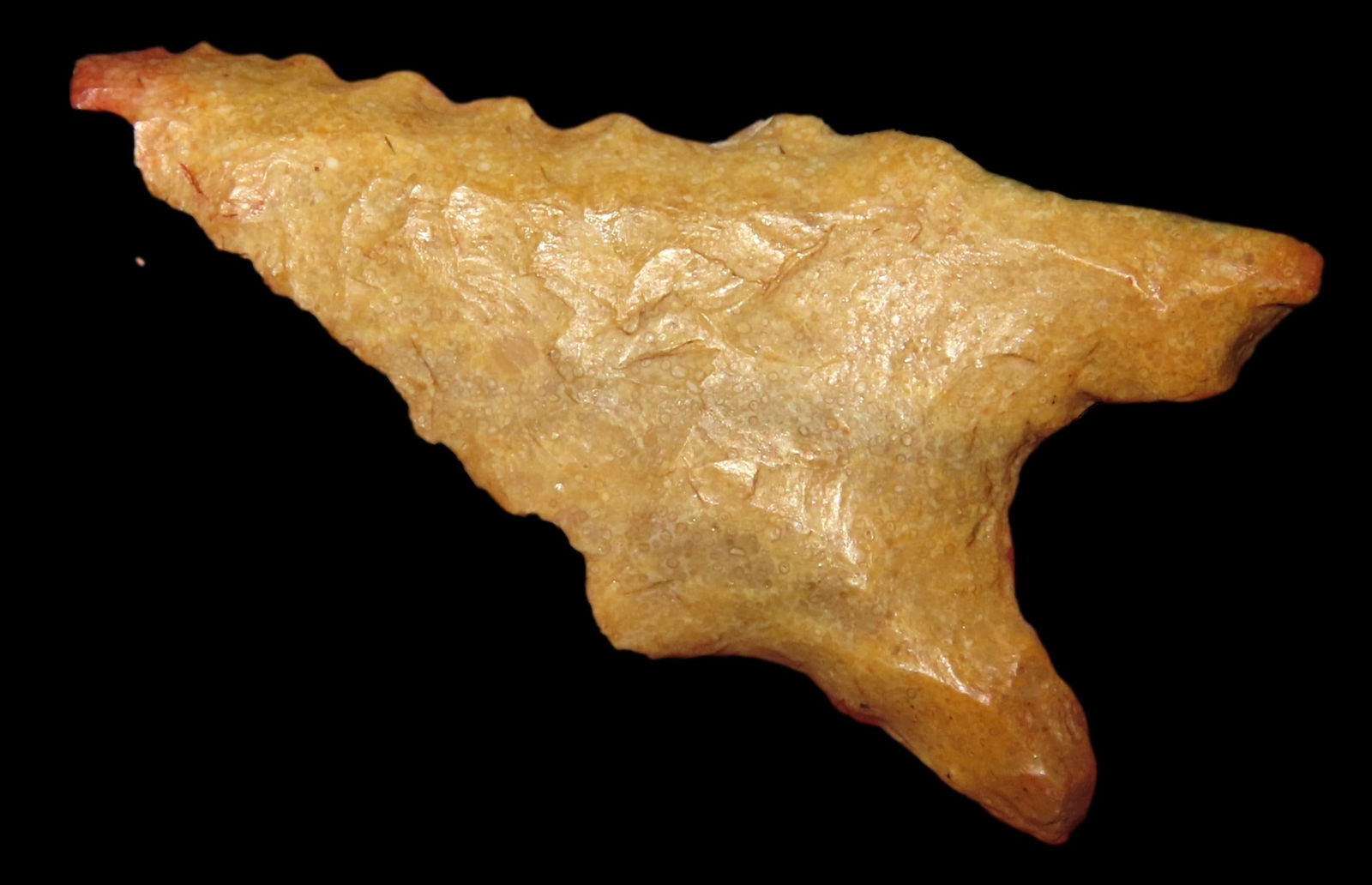 1 7/8" Crowley's Ridge Chert Dalton, Oregon Co. Missouri EX George Robertson Coll. (1 of 6)