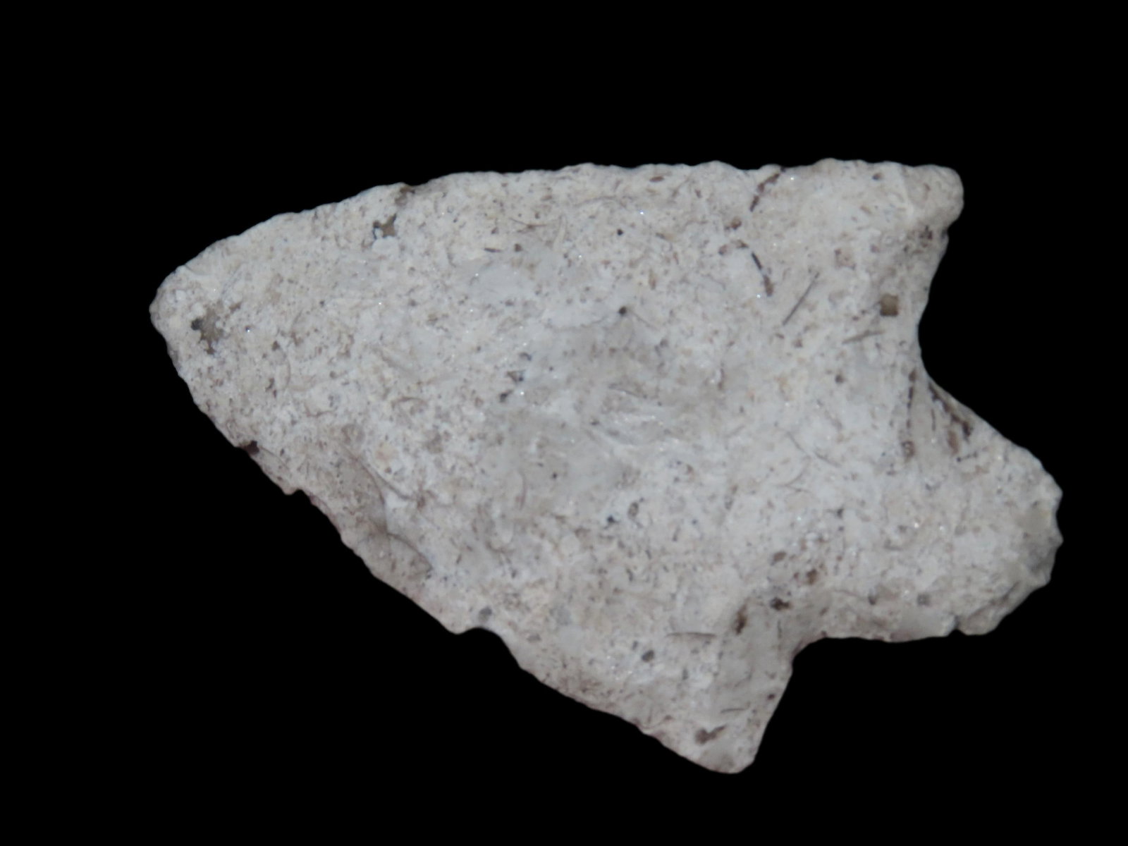 2 7/8" Newman, Florida, EX Randall May Coll. (1 of 6)