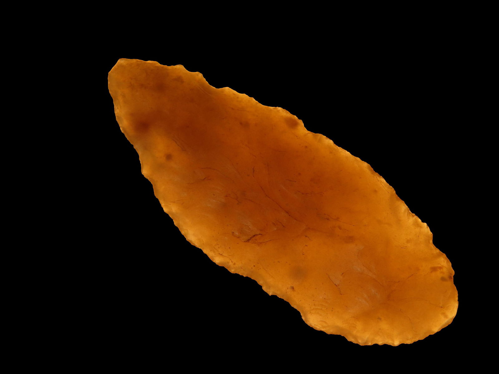 2" Neolithic Leaf Blade from the Sahara Desert Africa, EX Randall May Coll. (1 of 9)