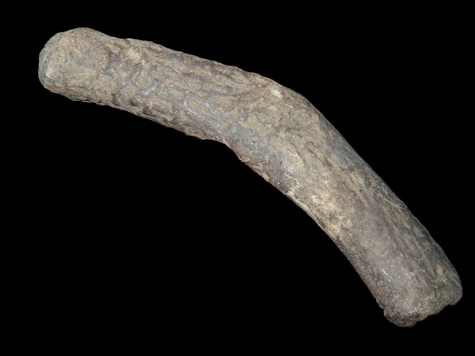 6 1/2" Antler Billet Knapping Tool, found at the Snyder Site in Illinois, Ex Donny Johns Collection (1 of 8)