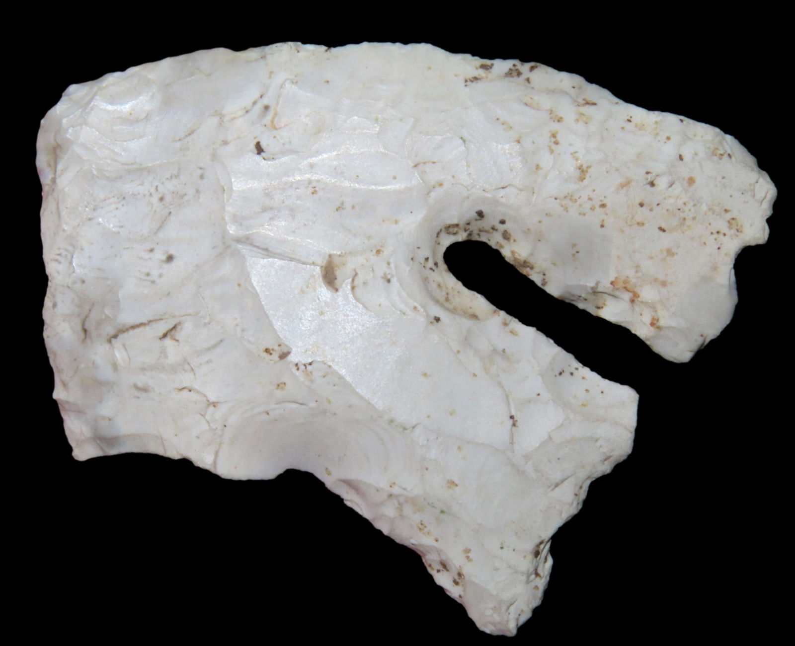 2 1/8" CALF CREEK FOUND IN PETTIS COUNTY MISSOURI, AMAZING DEEP NOTCHES, CLASSIC EXAMPLE, VERY THIN, (1 of 4)