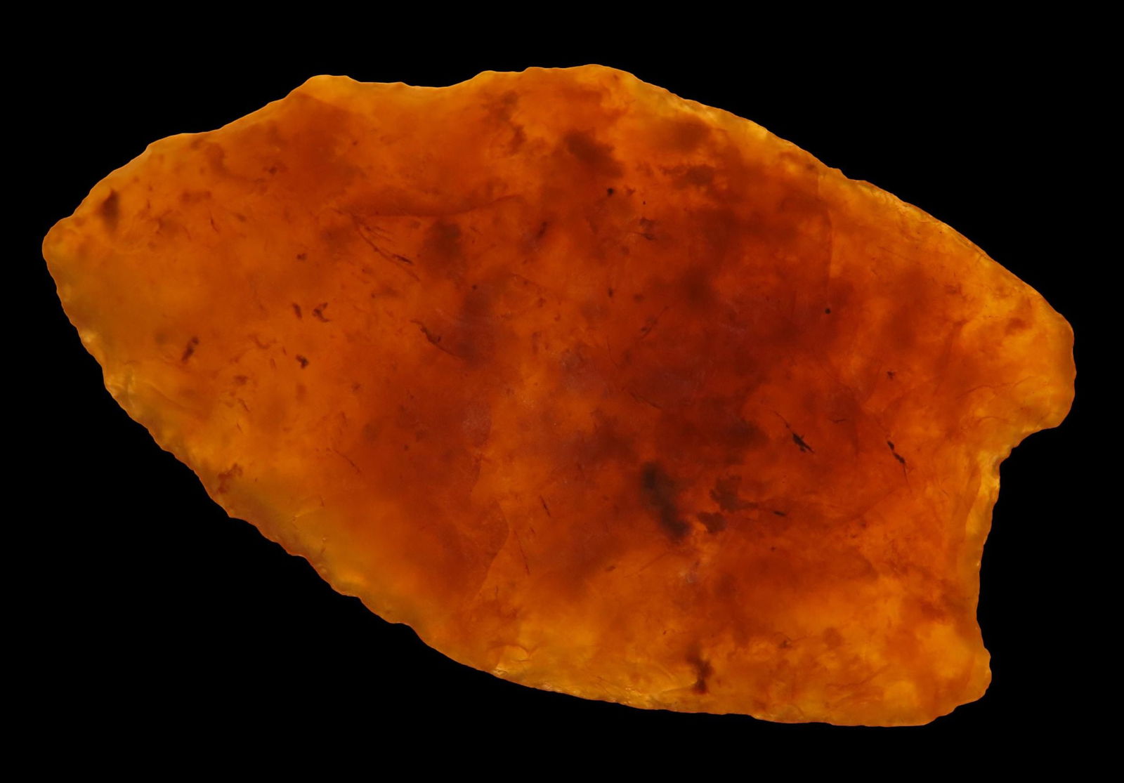 1 7/16" MIDLAND / FOLSOM FOUND IN NORTHERN COLORADO, HIGHLY TRANSLUCENT AGATE, DOUBLE FLUTES ON ONE (1 of 8)