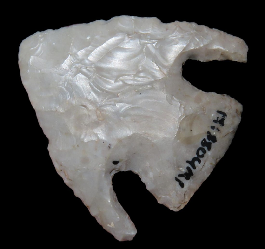 1 7/8" CALF CREEK FOUND IN MISSOURI, VERY THIN WELL FLAKED EXAMPLE WITH BOTH EARS INTACT, GREAT (1 of 6)