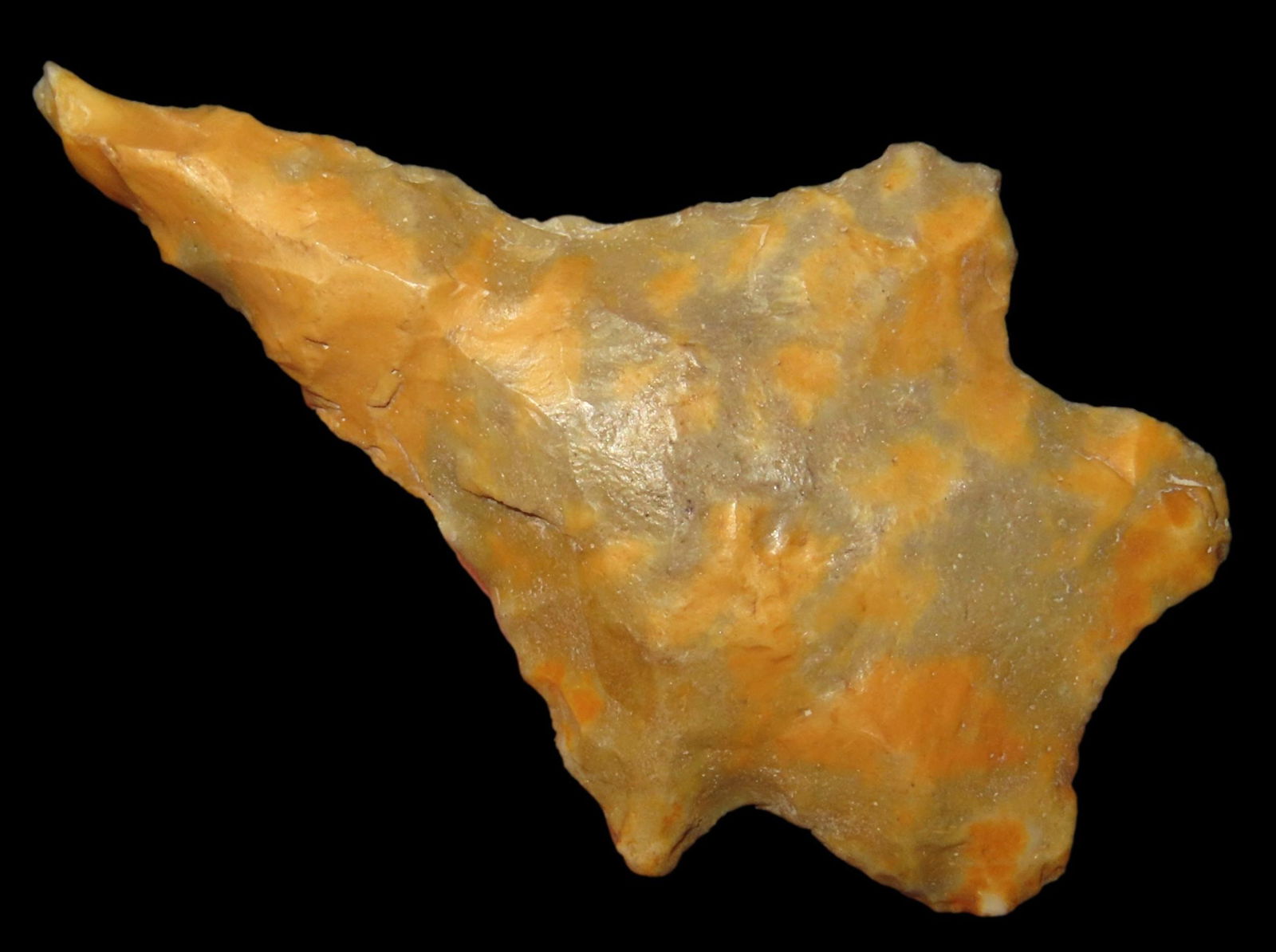 1 3/4" COLORFUL BIFURCATED BASE FOUND IN LINCOLN COUNTY COLORADO, BEAUTIFUL MATERIAL, INDIAN (1 of 4)