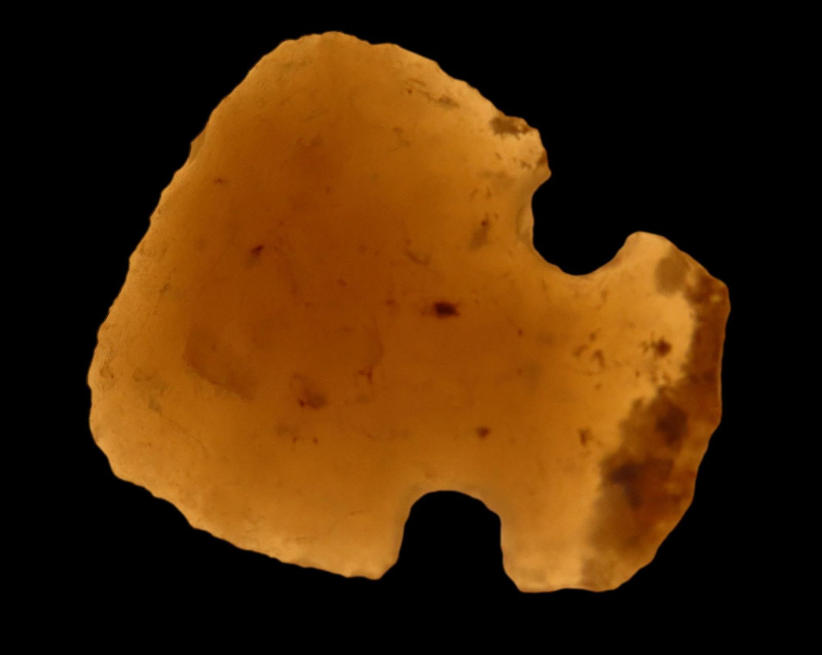 1 1/16" AGATE NOTCHED CRESCENT KNIFE / SCRAPER, LINCOLN COUNTY COLORADO, HIGHLY TRANSLUCENT EXAMPLE, (1 of 5)