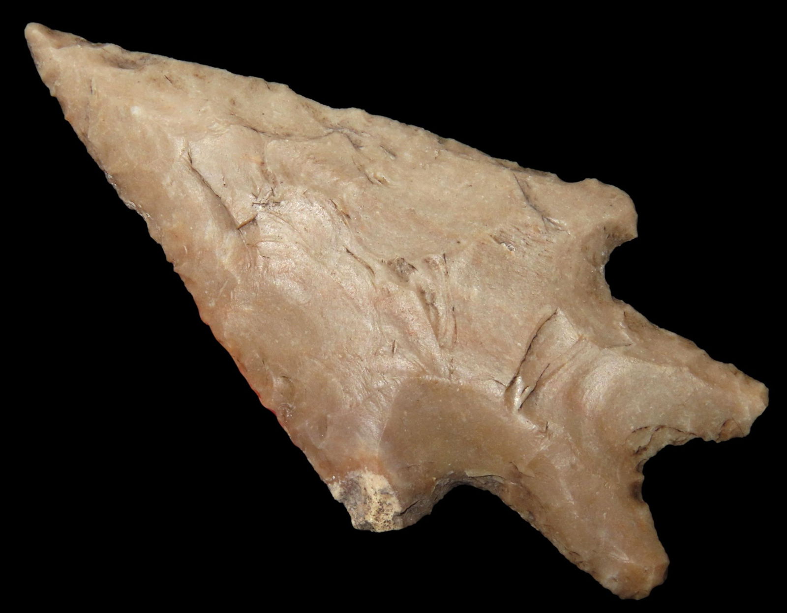 2 5/8" PEDERNALES FOUND IN LASALLE COUNTY TEXAS, WELL FLAKED & HEAVILY PATINATED EXAMPLE, INDIAN (1 of 6)