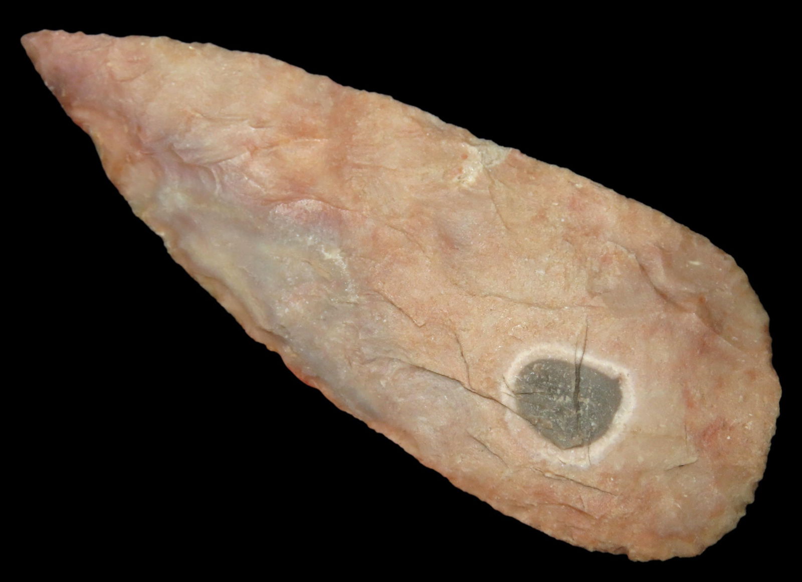 3 1/2" INCREDIBLE OVOID KNIFE, WILLIAMSON COUNTY TEXAS, COVINGTON BLADE, VERY THIN AND WELL FLAKED (1 of 6)