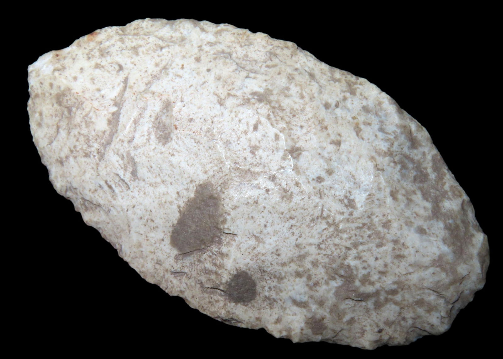 3 3/8" EARLY OVOID KNIFE BLADE, ADAMS COUNTY ILLLINOIS, NICE EARLY FLAKING, GREAT COLOR AND NO (1 of 6)