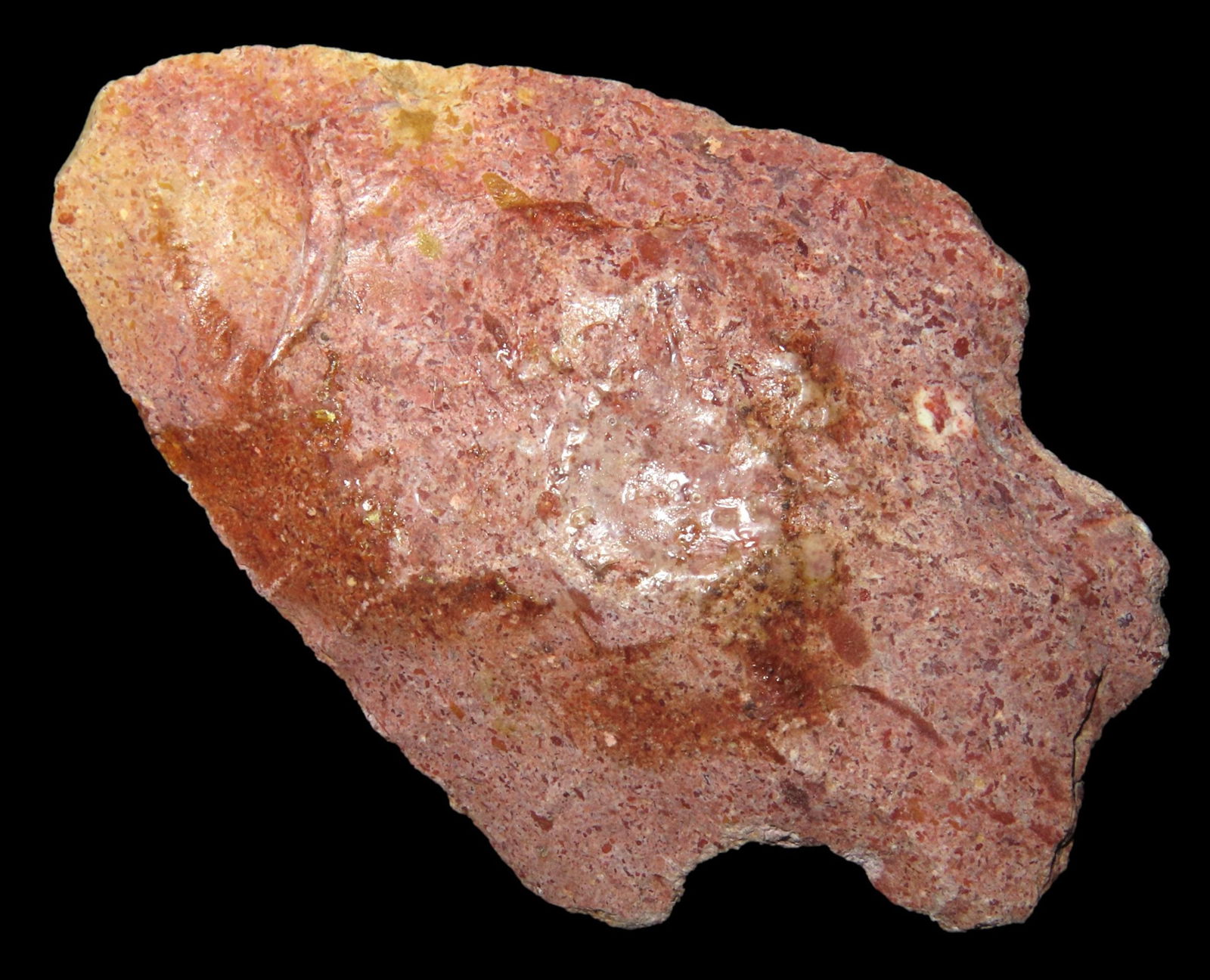 2 13/16" COLORFUL FLORIDA SAVANNAH RIVER, NICE LARGE DEEP SOUTH INDIAN ARROWHEAD WITH GREAT COLOR (1 of 5)