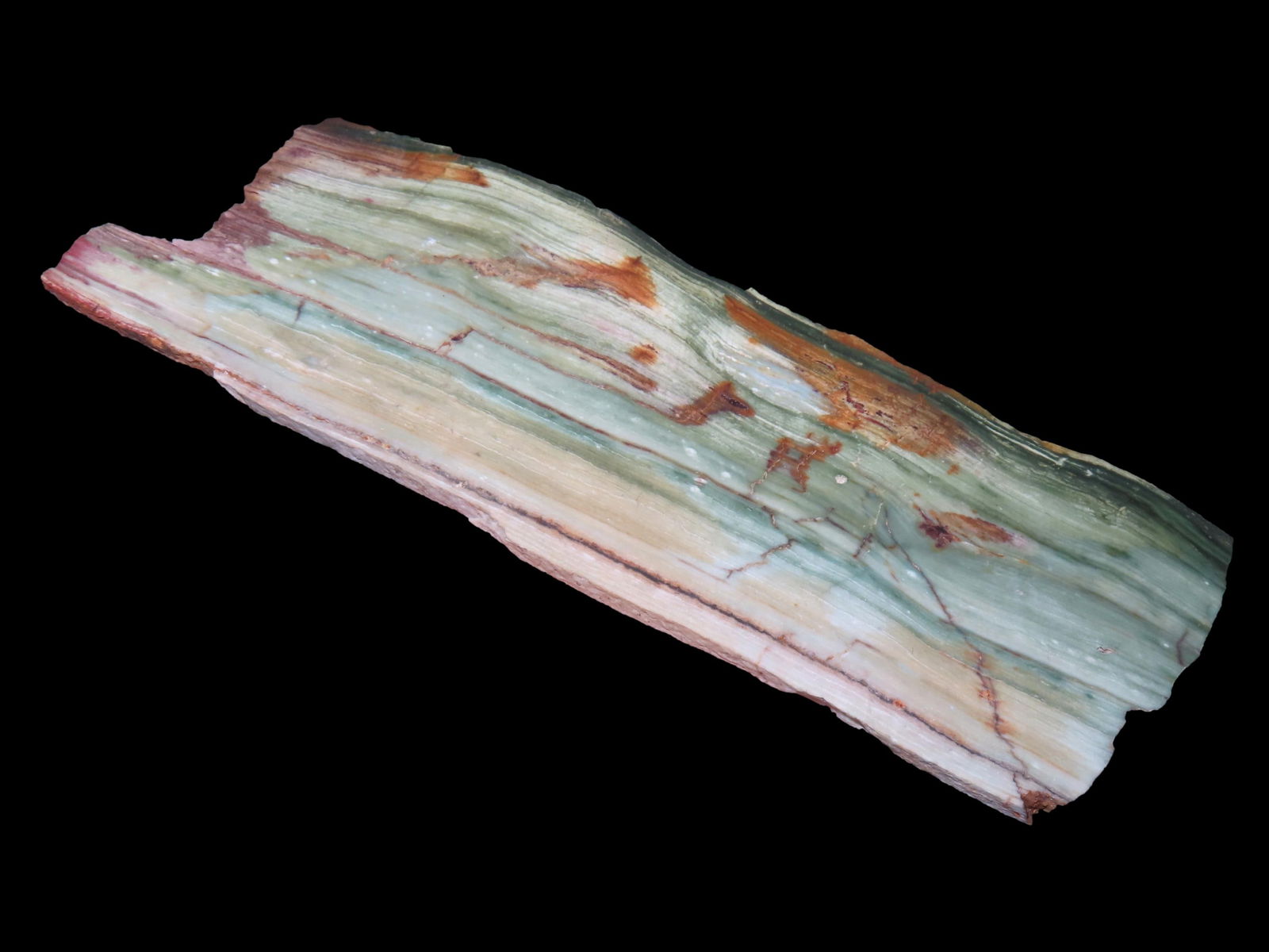 RARE GREEN PETRIFIED BOGWOOD WOOD SLAB, 7 1/2" AT ITS LONGEST POINT, AMAZING COLOR, FOUND IN OREGON (1 of 4)