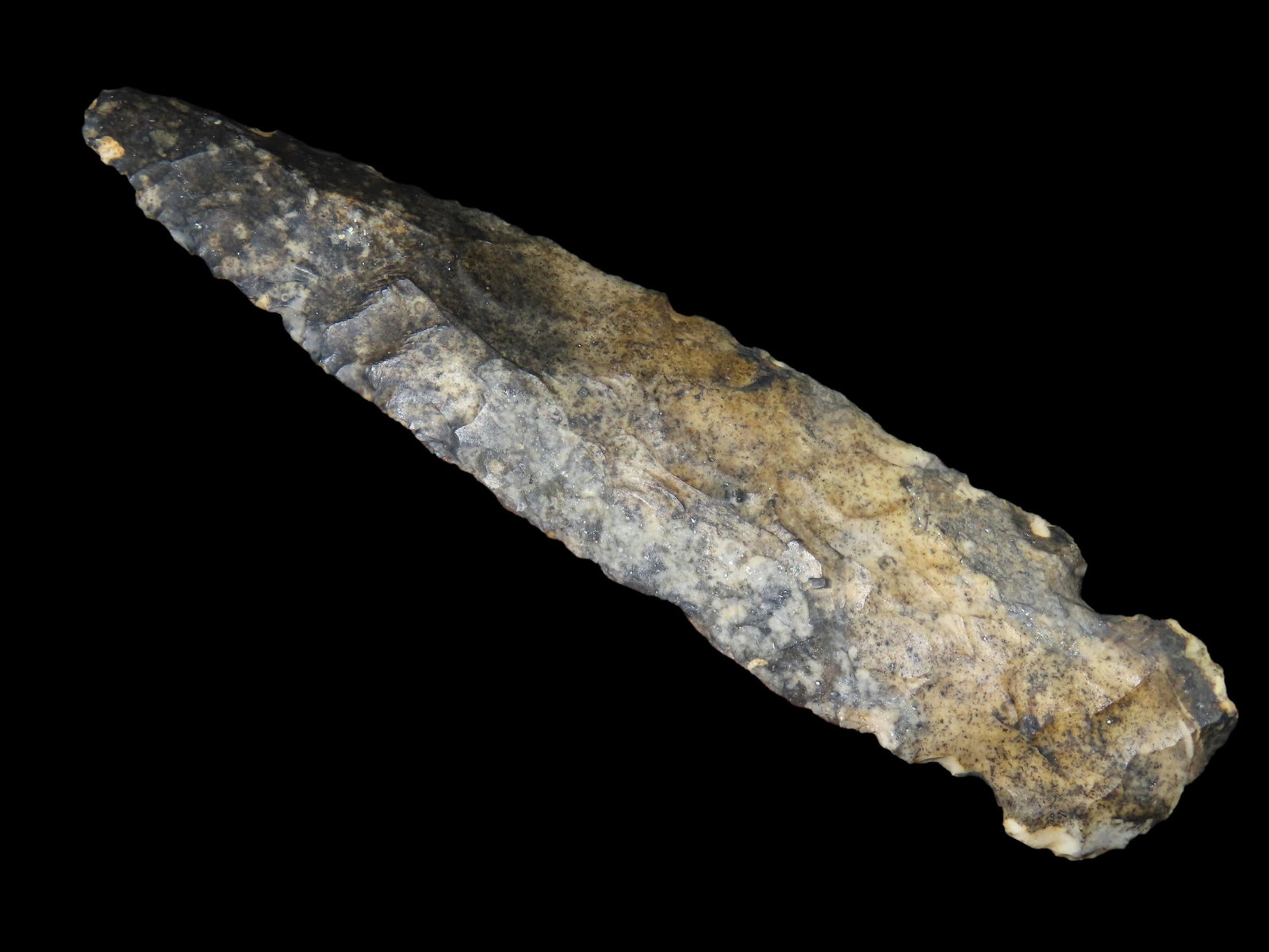 5 1/2" Large, nicely creek stained Side Notch,  found in Adams Co., Illinois, Ex Ronald Kooken (1 of 6)