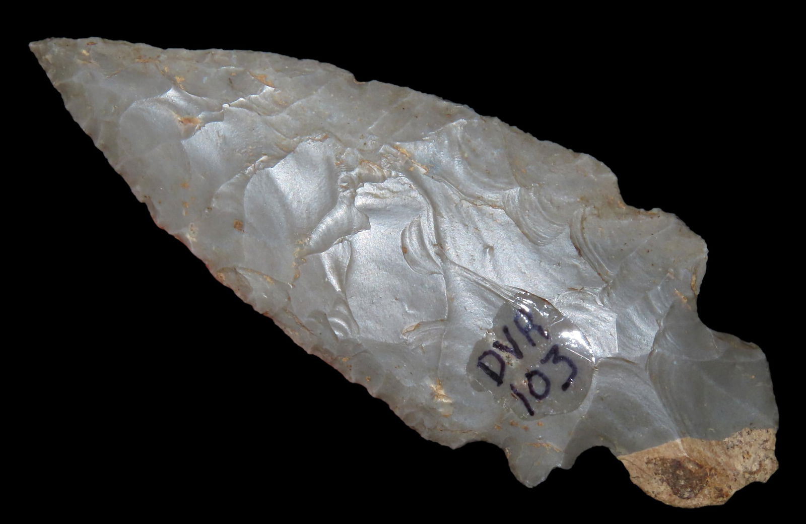 4 1/8" Double Notch Turkey Tail, found in Mercer Co., Kentucky, Ex Bill Pinkston, Ex Gary Noel (1 of 7)