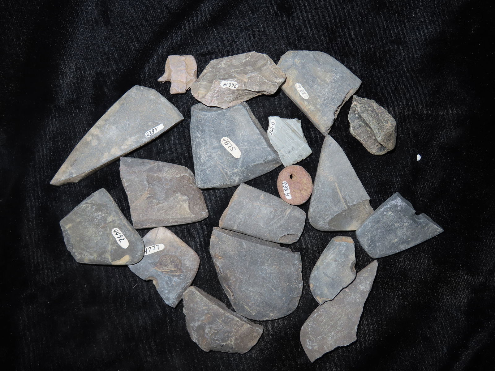 Grouping of Broken Slate Gorgets and Tool Pcs, Ex Beau Spicer, Kentucky: Grouping of Broken Slate Gorgets and Tool Pcs, Ex Beau Spicer, Kentucky