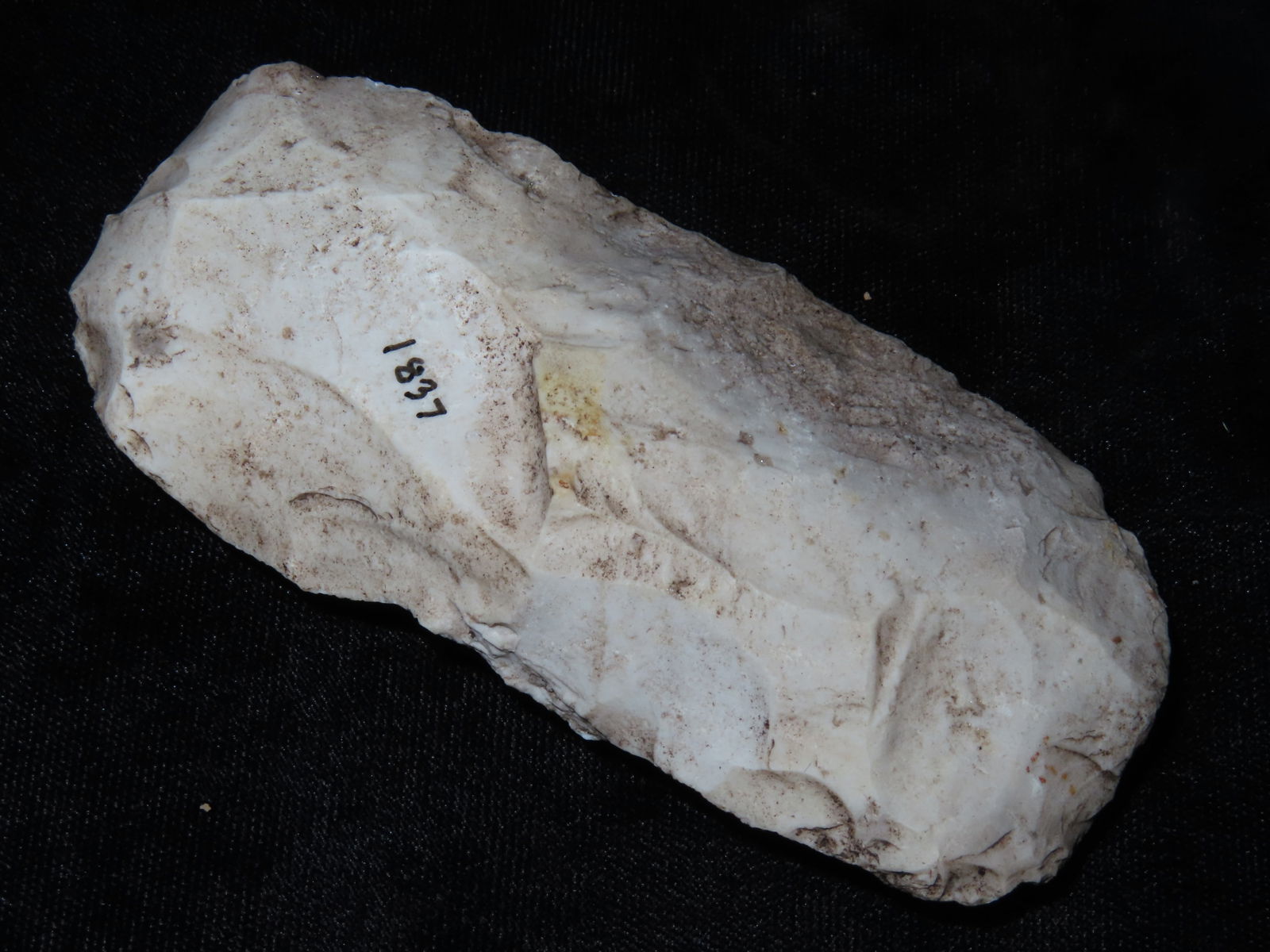 4 1/2" Archaic Adze, Ex Steve Manos Collection (1 of 5)