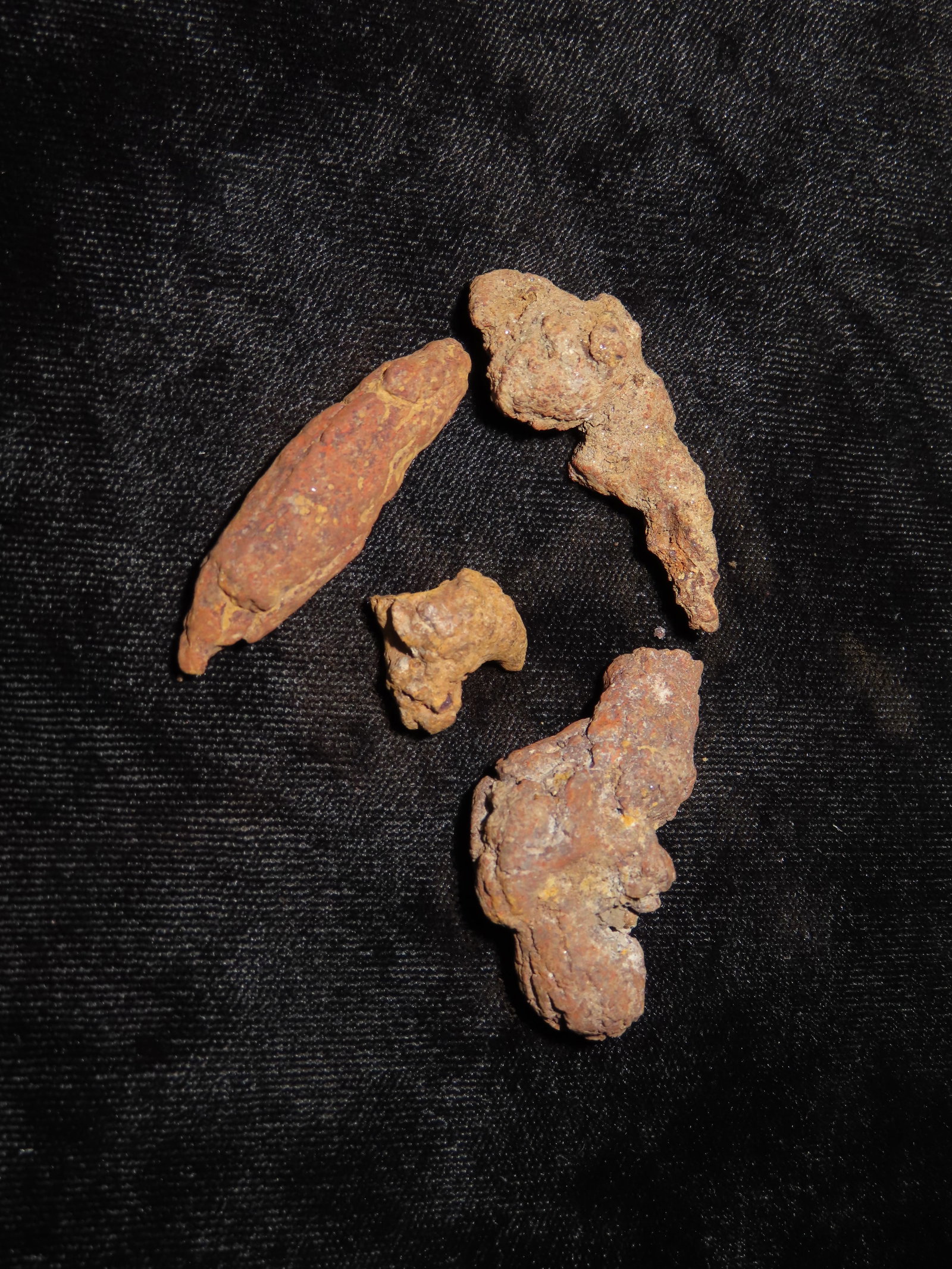 4 pcs of Coprolite- Fossil Dinosaur Dung-100 Million yrs. old: 4 pcs of Coprolite- Fossil Dinosaur Dung-100 Million yrs. old