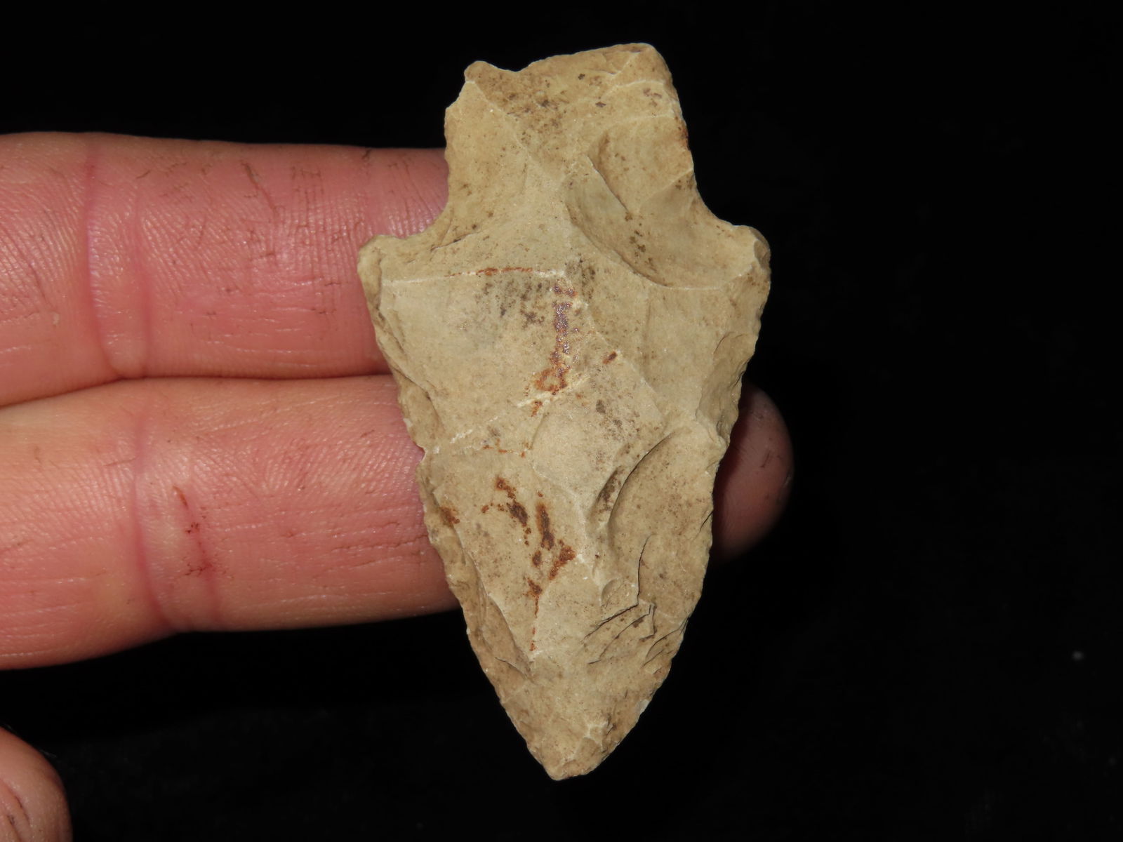 2 3/8" Johnson Point,  Motley COA, found in Greene Co., Missouri, Ex Terry Allen Collection (1 of 7)