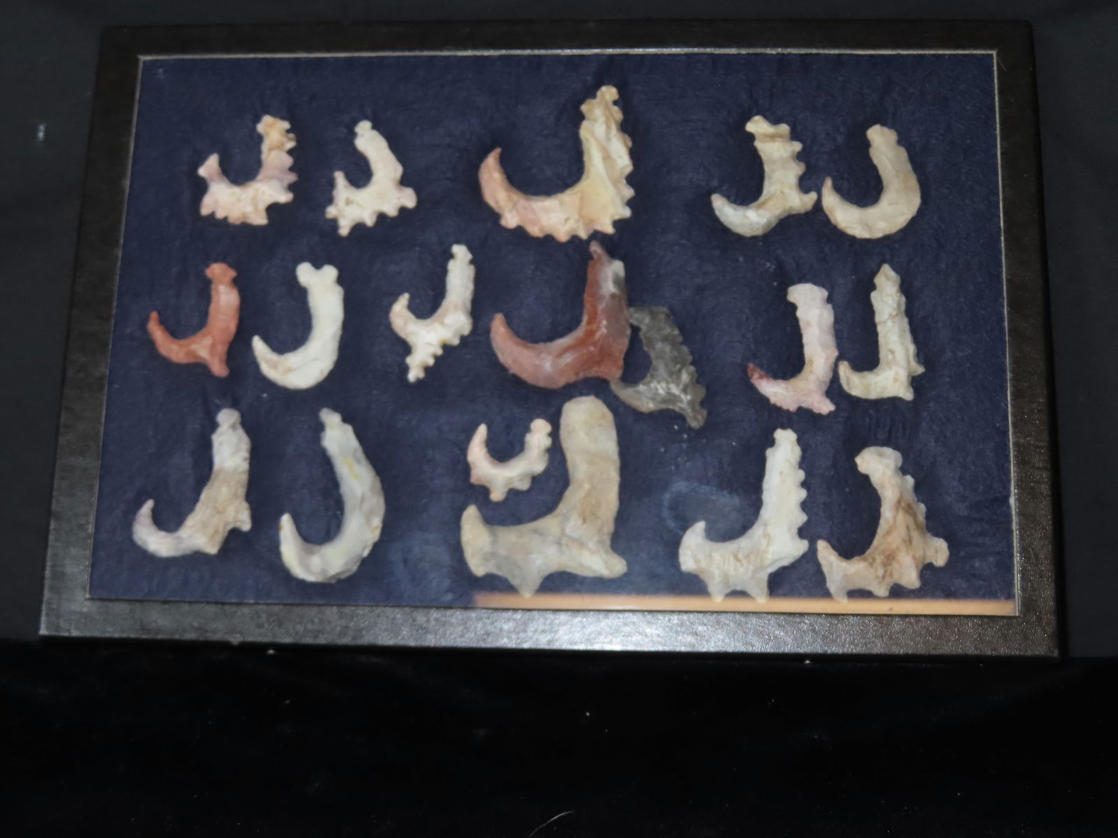 12" x 8" Frame of Eccentric Fish Hooks ***REPRODUCTION*** (1 of 2)
