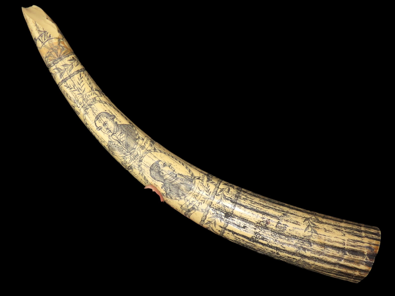 20 1/4" Cast Replica of Scrimshaw Tusk: 20 1/4" Cast Replica of Scrimshaw Tusk