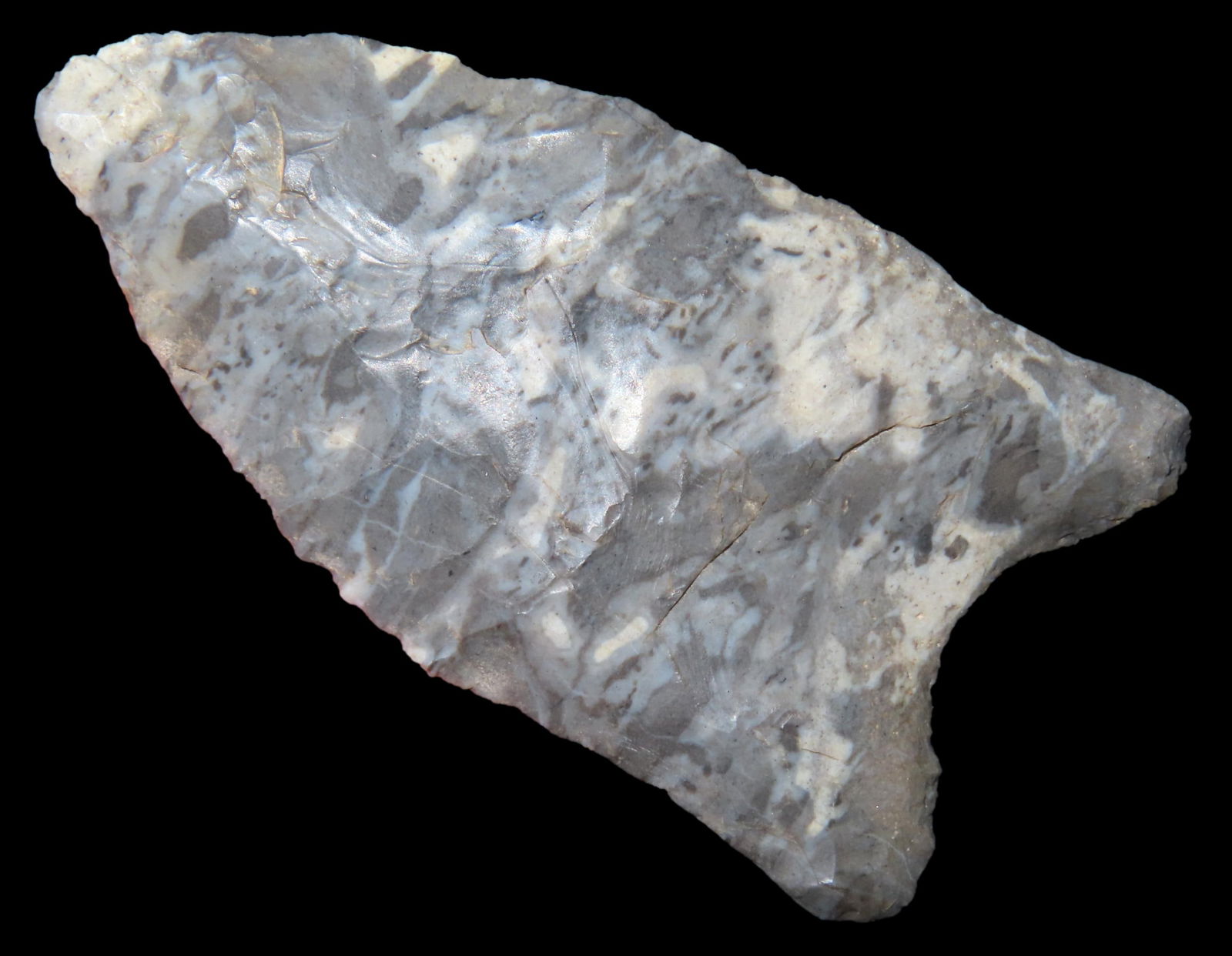 2 3/8' Dalton, Motley COA, found in Izard Co., Arkansas (1 of 7)