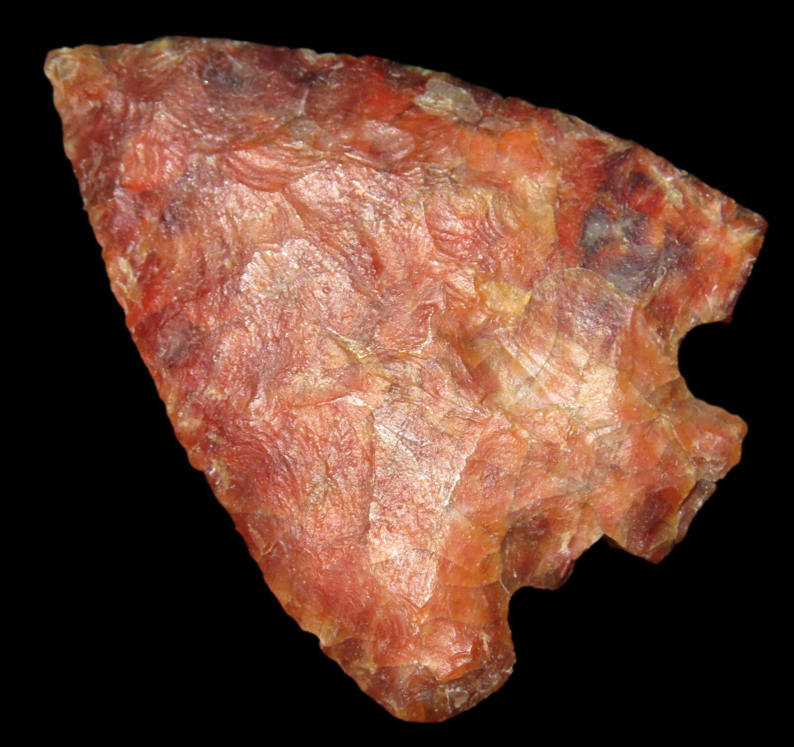 1 3/4' Western Corner Notch, Exhibits Great Color, found in the Western United States (1 of 5)