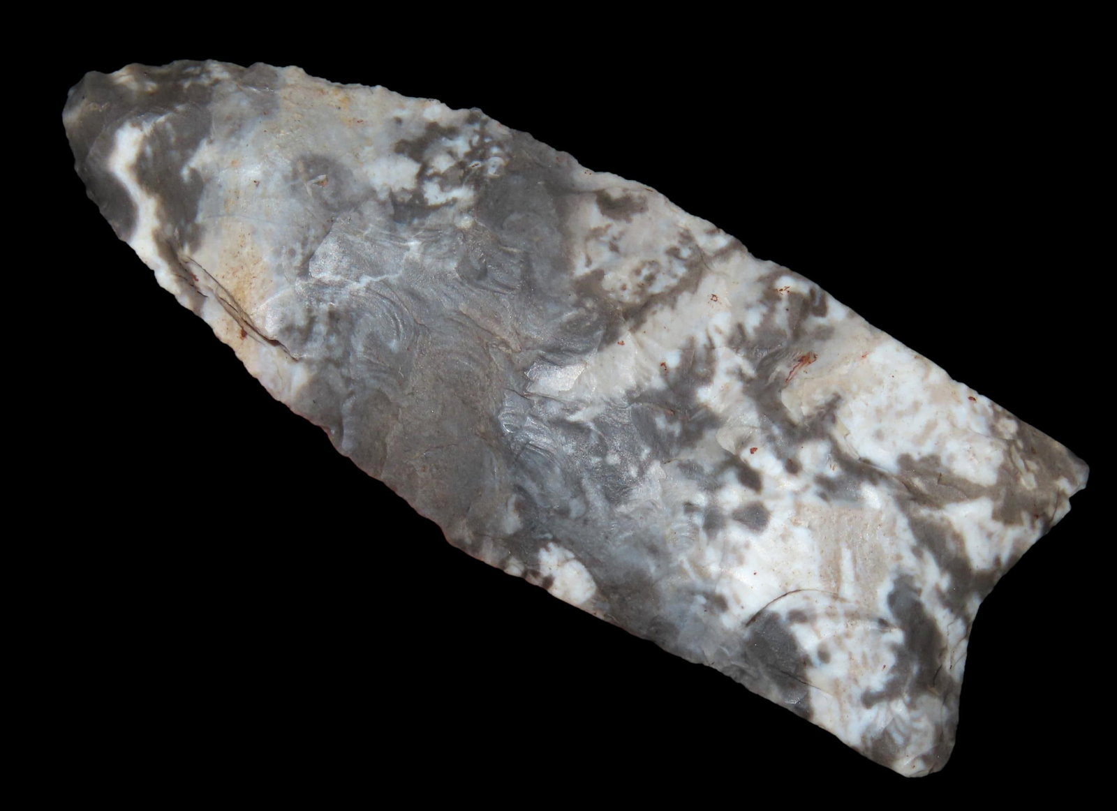 **SALE HIGHLIGHT** ABSOLUTELY STUNNING 2 15/16' CLOVIS!! Gorgeous Black and White Reed Sprigs Chert (1 of 8)