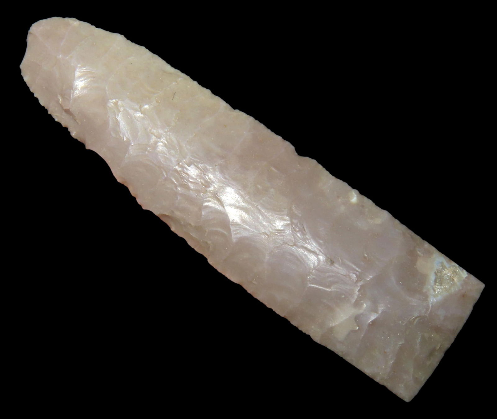 2 13/16' Eden, Stermer COA, found in Wyoming, Ex John Johns, Ex Jerry Bolin Collection (1 of 8)