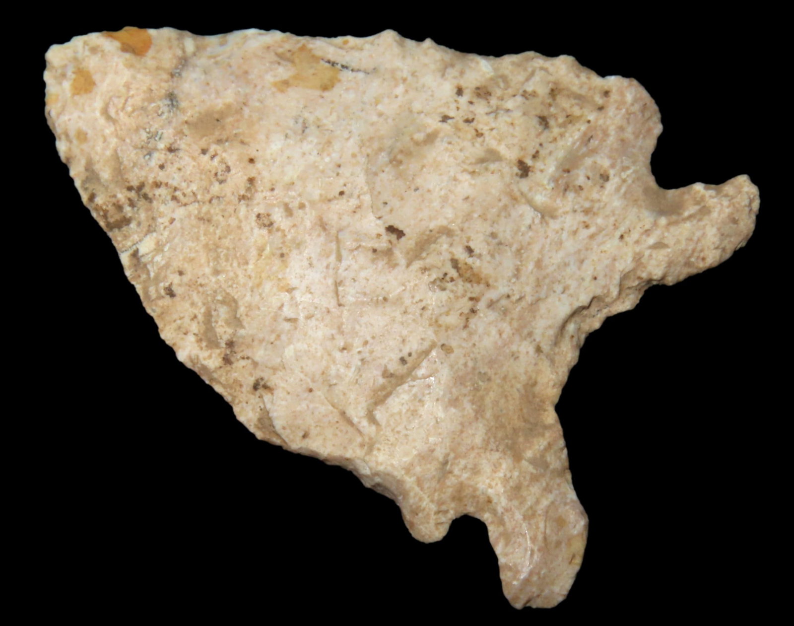 1 7/8' Dalton, Black COA, found in Missouri, Ex Roger Doedtman Collection (1 of 7)