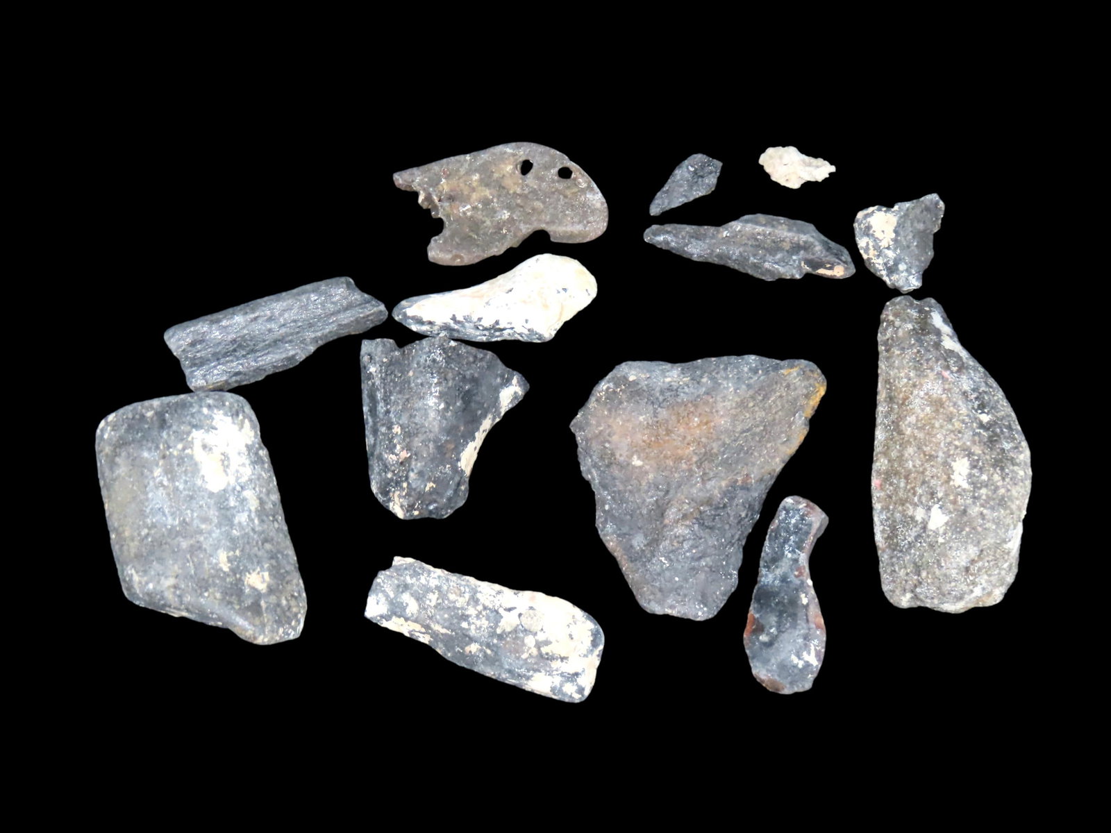 Lot of Fossil Whale Bone and Shark Teeth, all found near Ft. Meyers Florida: Lot of Fossil Whale Bone and Shark Teeth, all found near Ft. Meyers Florida