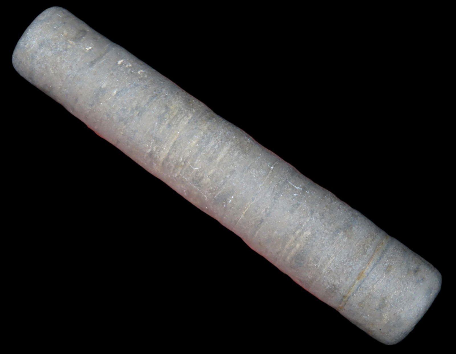 4 3/8" Fossil Crinoid Specimen, Ex Randall May Collection (1 of 4)