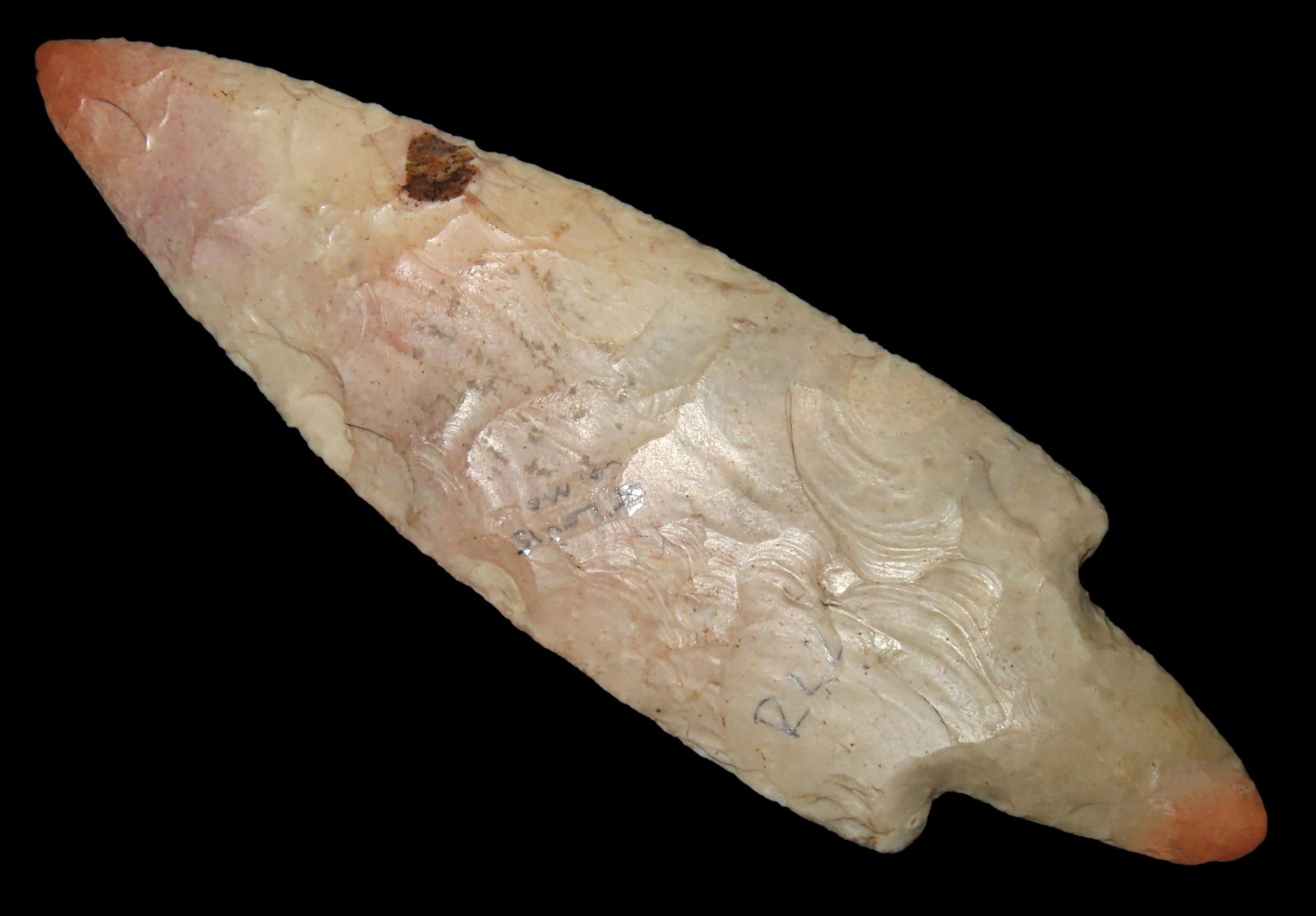 Stunning 4 3/4" Adena Waubesa, 3xCOA-Rogers/Stermer/Berian, Color is amazing on this super-fine poin: Stunning 4 3/4" Adena Waubesa, 3xCOA-Rogers/Stermer/Berian, Color is amazing on this super-fine point! Found in St. Louis Co., Missouri, Ex Barry Williams, Ex Robert Lee, Ex Richard Austin, Ex Duane S