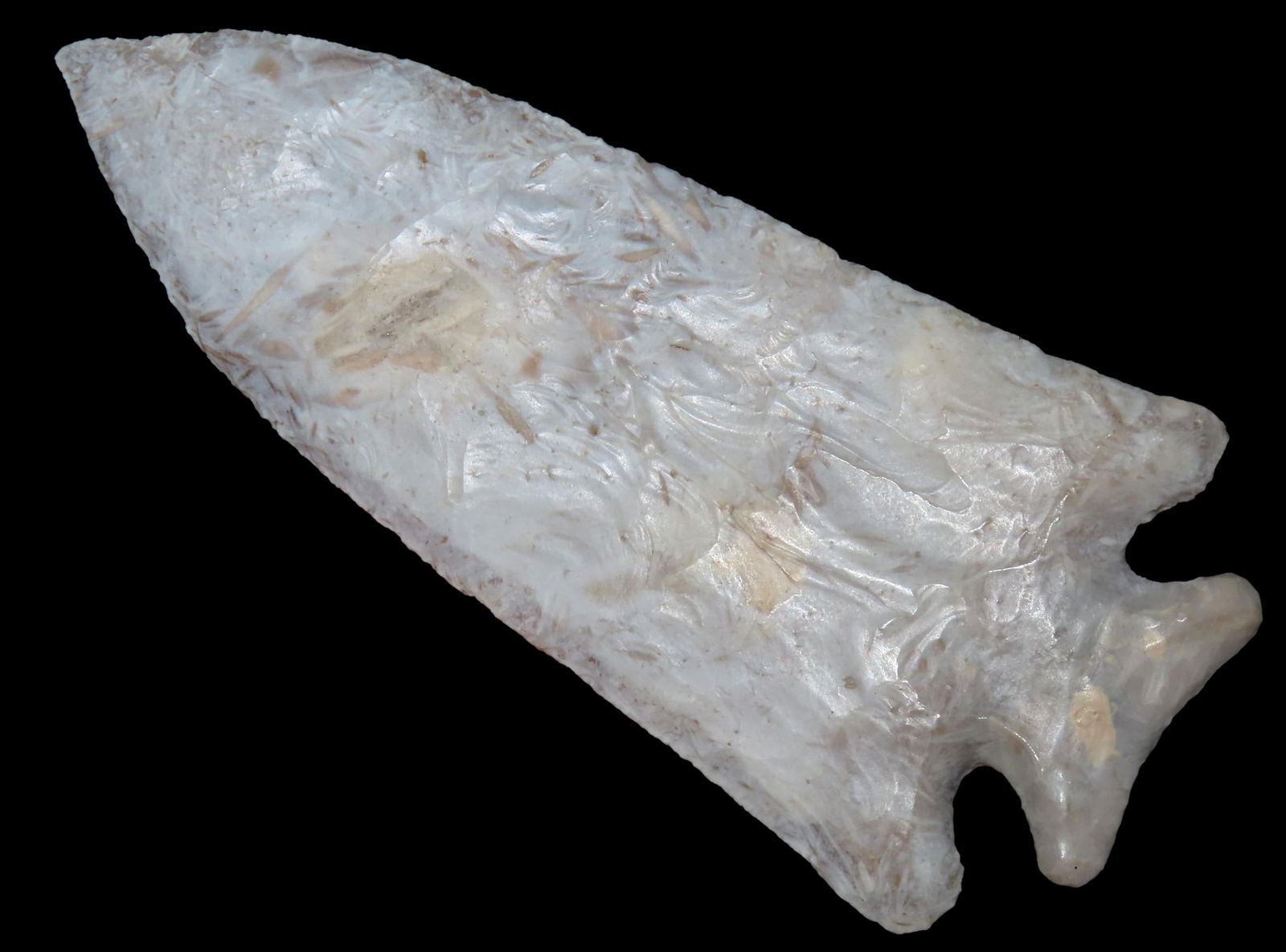 4 11/16" Clay, Tatum COA, found in Alachua Co., Florida, Ex Bruce Butts,  Ex Duane Schneider Collect (1 of 7)