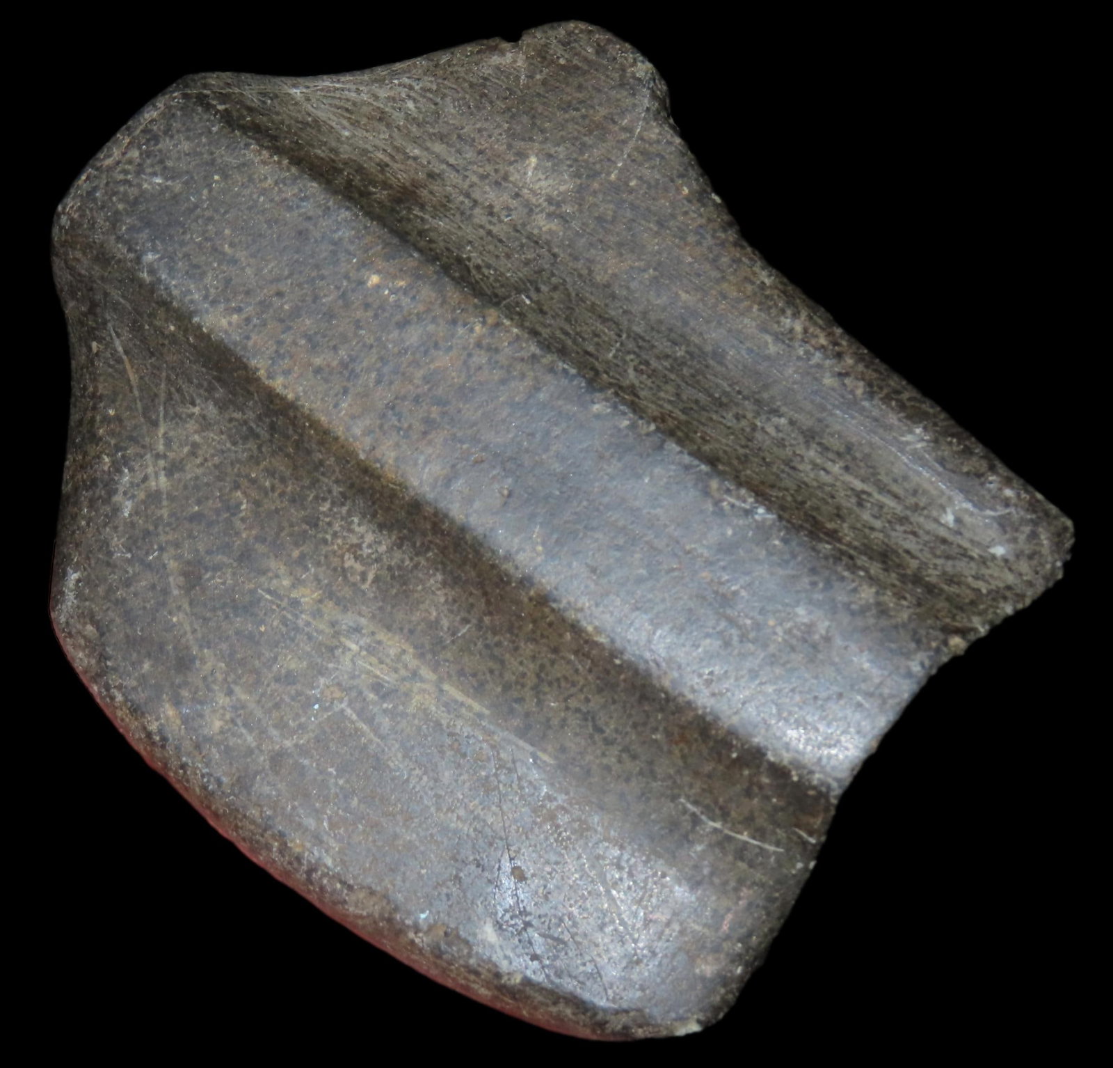 3 1/4" New Jersey found Whale-Tail Bannerstone, Ex Rick Sunderland Collection: 3 1/4" New Jersey found Whale-Tail Bannerstone, Ex Rick Sunderland Collection