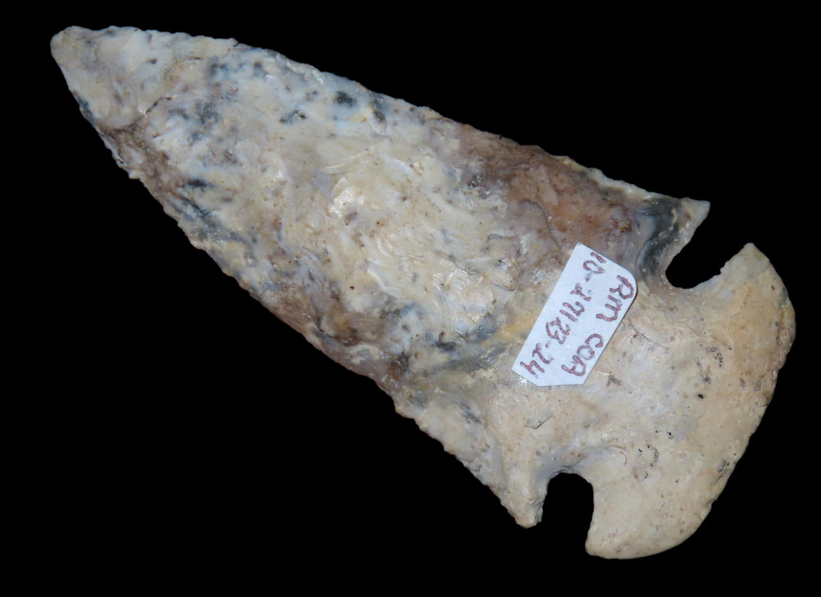 3 3/4" Dovetail, Motley COA, made of Starved Rock Chert, found in Knox Co., Illinois, Ex Roscoe Fied: 3 3/4" Dovetail, Motley COA, made of Starved Rock Chert, found in Knox Co., Illinois, Ex Roscoe Fiedler(buyer for Payne), Ex Tommy Bryden Collection