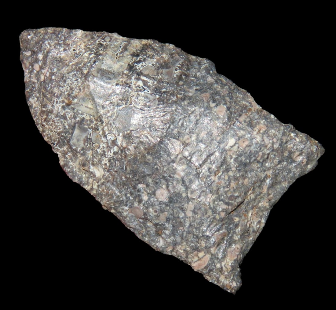 1 1/4" Clovis, found in Indiana, Ex Jarrod Kirby Collection (1 of 6)