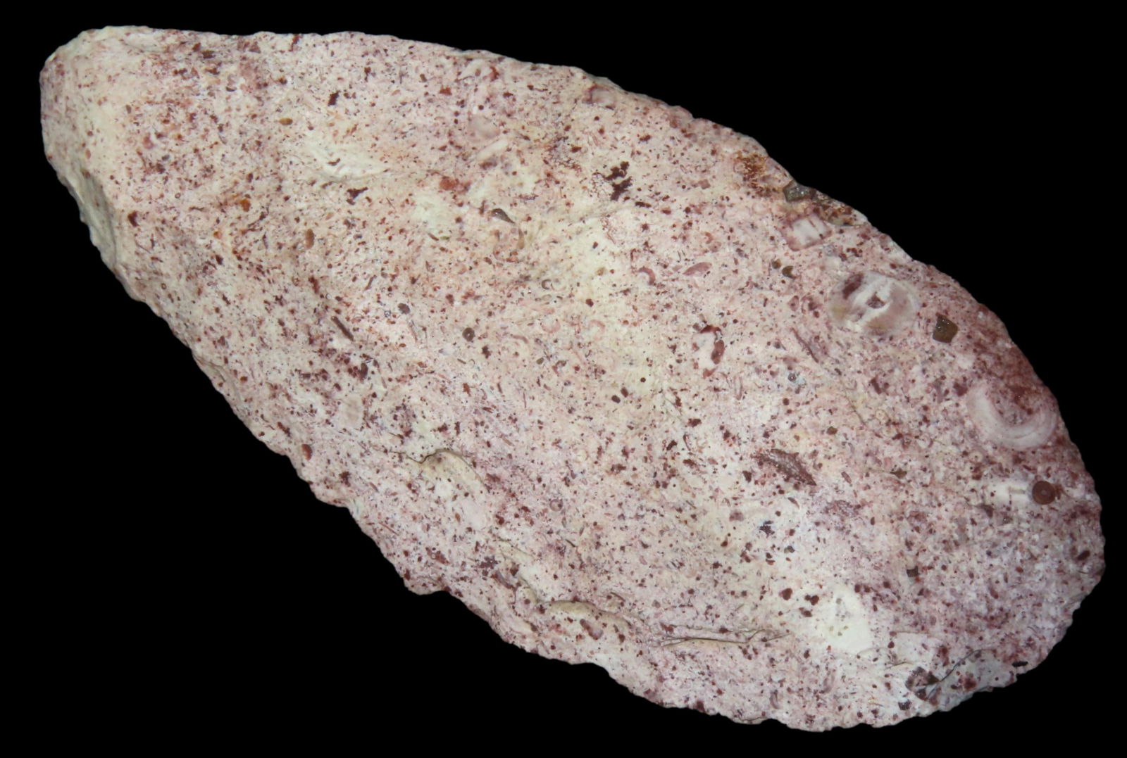 4 5/8" Adena Knife, found in Sullivan Co., Missouri (1 of 6)