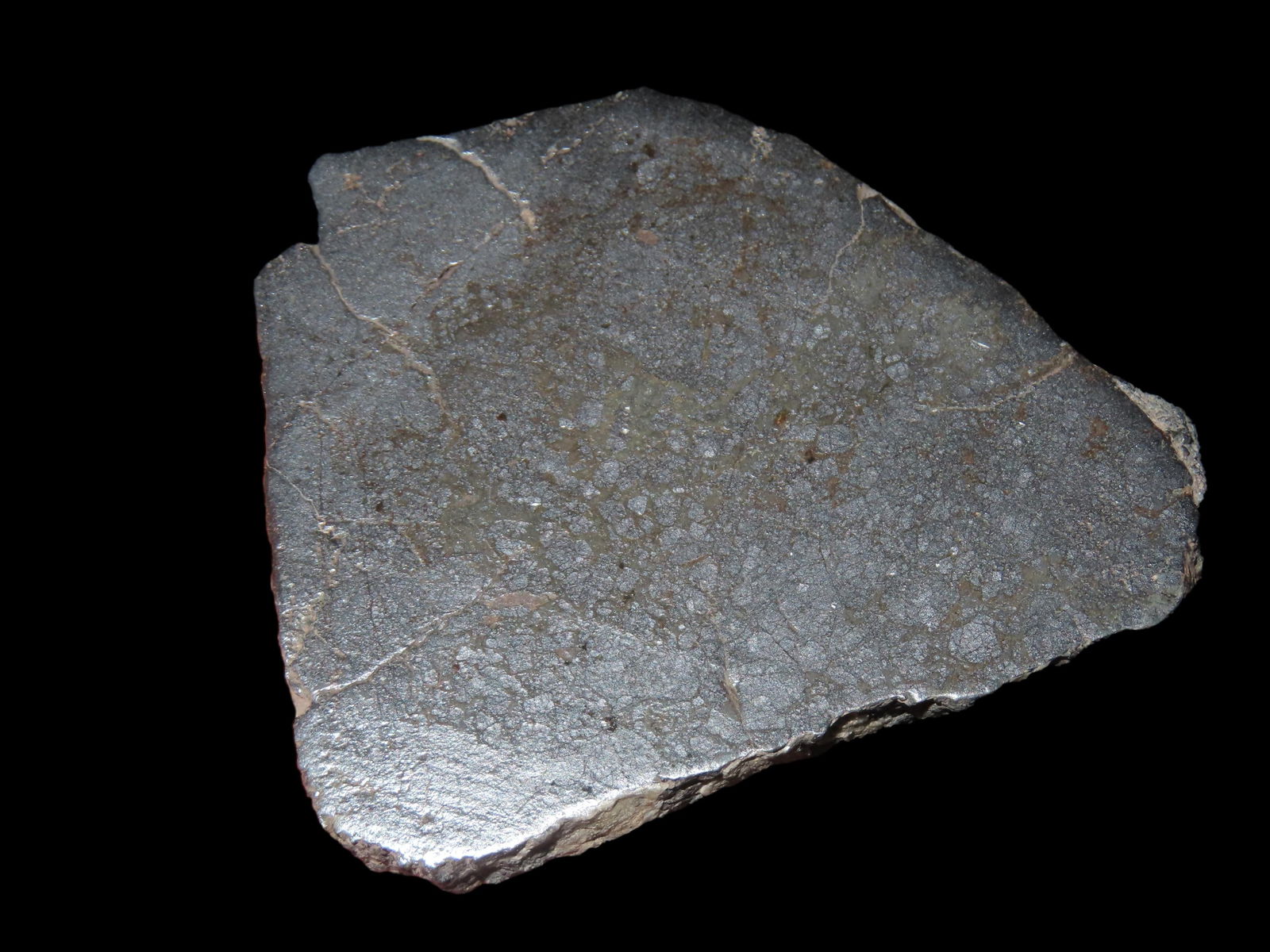2 7/8" x 2 5/8" Slice Texas Meteorite (1 of 4)