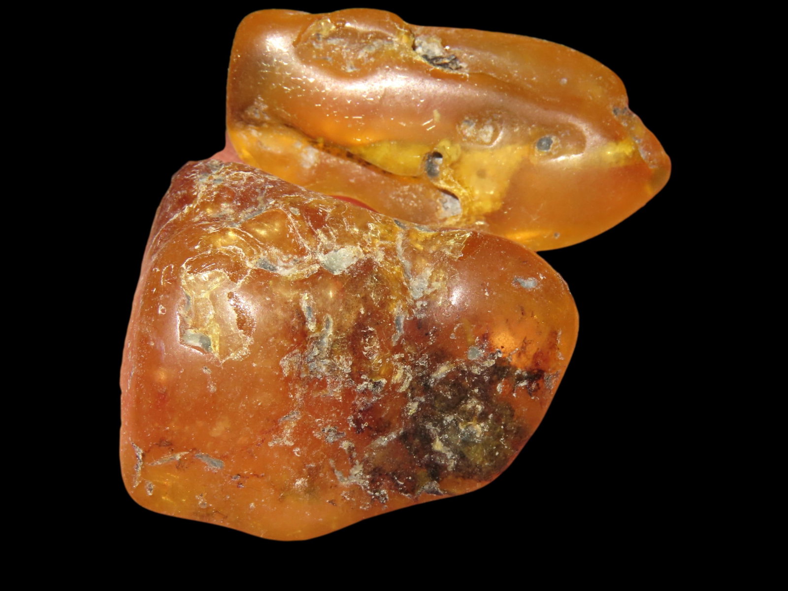 Lot of 2 Amber Nodules, found in Columbia: Lot of 2 Amber Nodules, found in Columbia