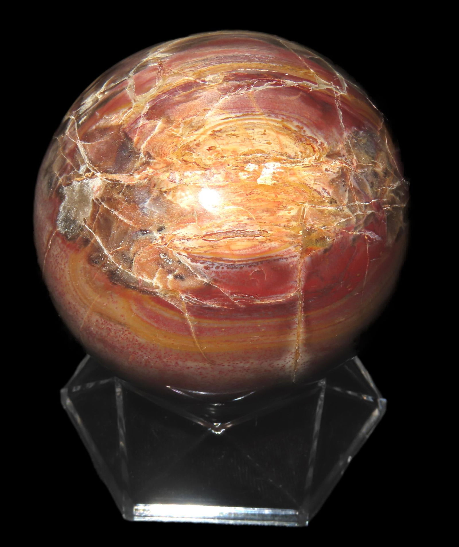 3" Petrified Wood Sphere (1 of 6)
