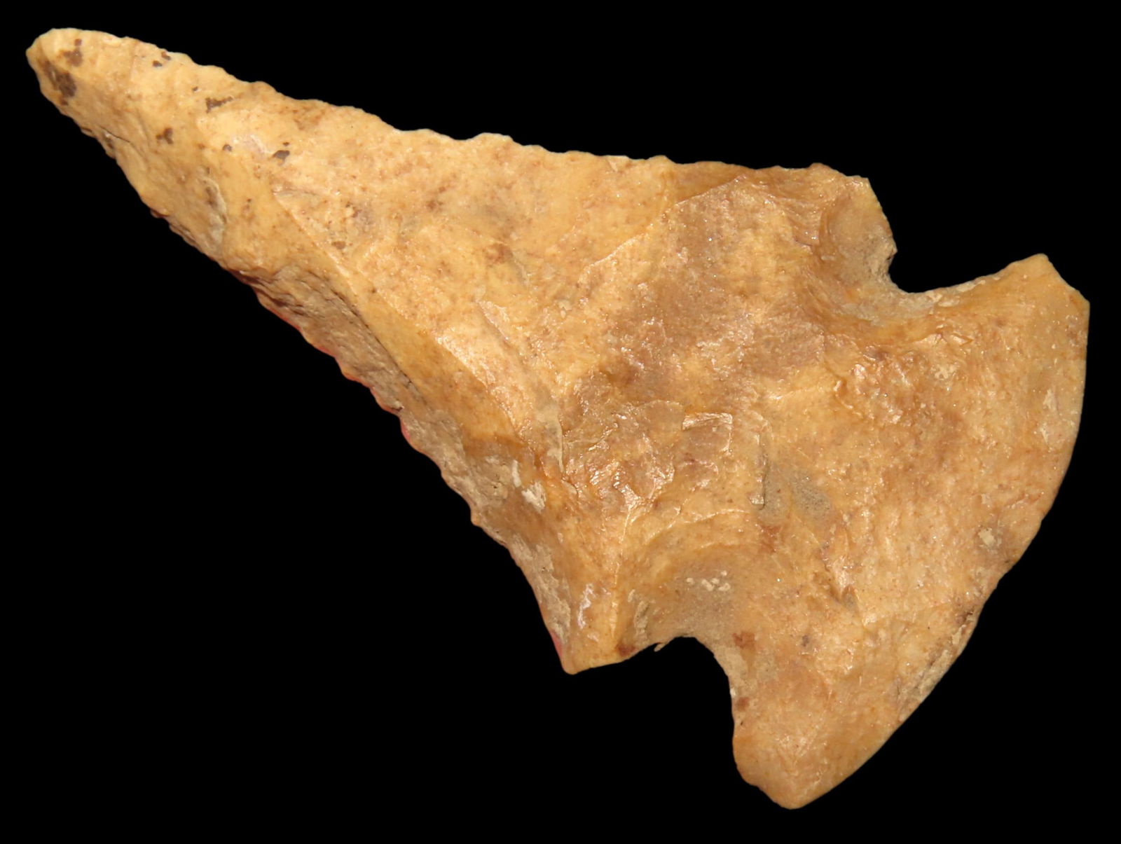 2 1/2" Dovetail, found in Moultrie Co., Illinois, Ex Dave Foster, Ex Tommy Bryden Collection (1 of 6)