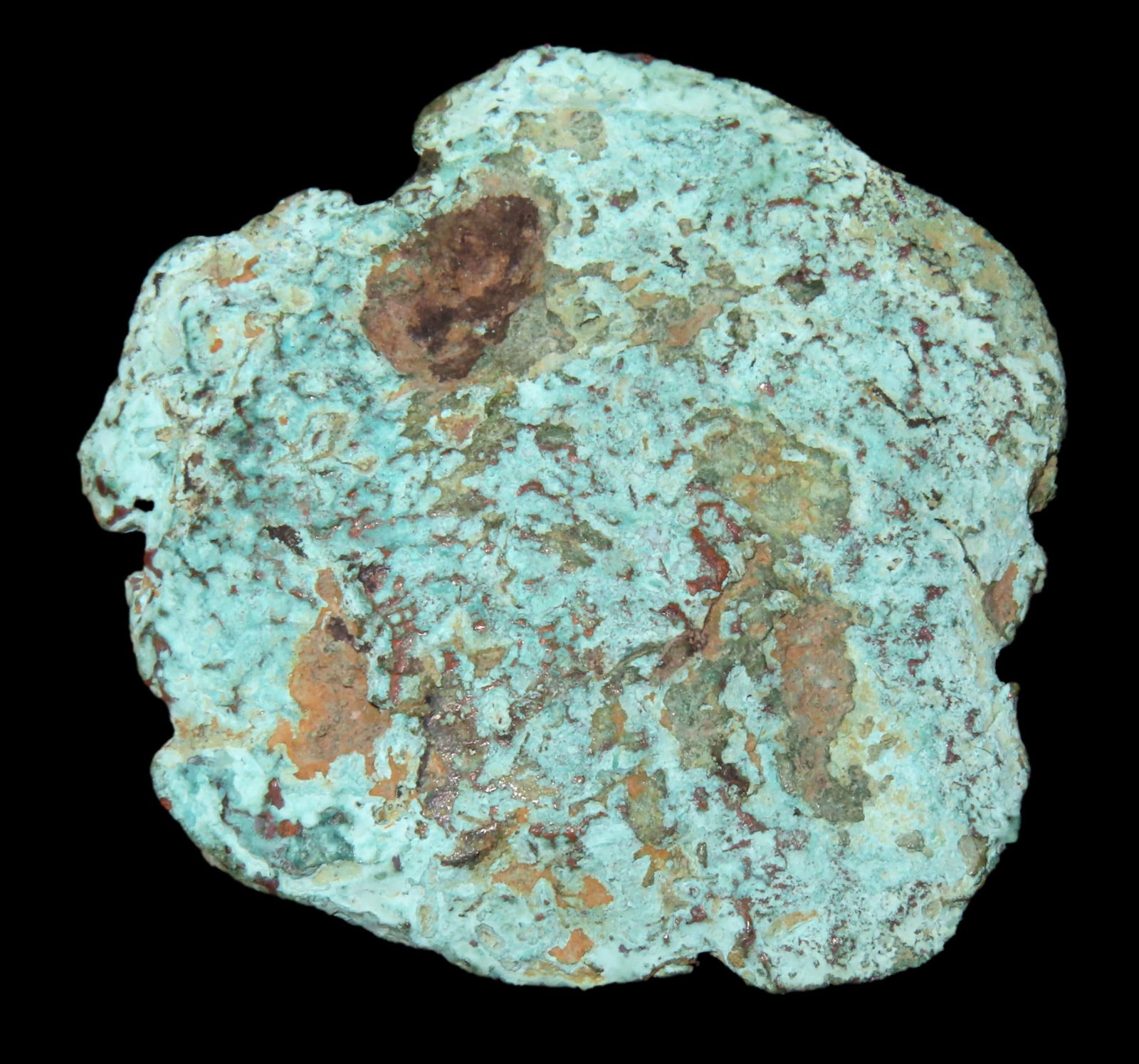 2 1/4" Fossil Float Copper Specimen, found in Wisconsin (1 of 4)