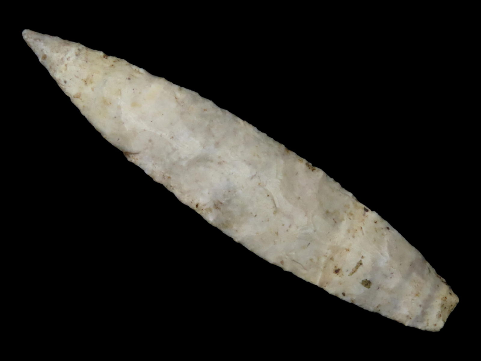 5 1/4" Sedalia Found in Illinois (1 of 4)