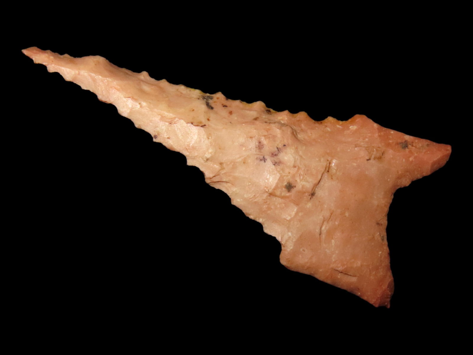 Heavily Beveled 2 5/16" Dalton, Motley COA, Found in Lee Co. Arkansas (1 of 5)