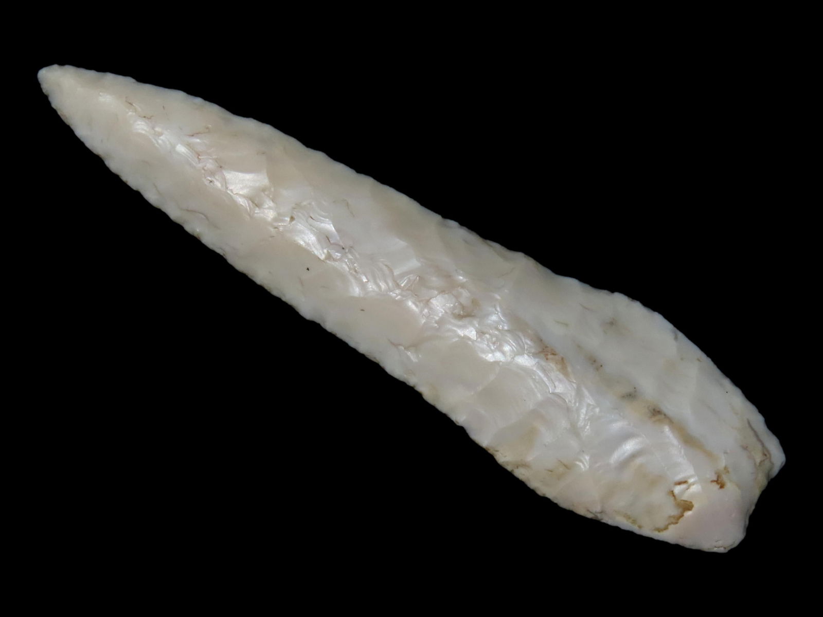 3 11/16" Angostura, Motley COA, Found in Illinois (1 of 5)