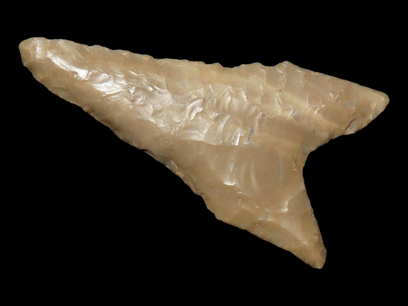 Nice 2 5/8" Dalton Found in Pulaski Co. Illinois. Ex. Lewis (1 of 4)