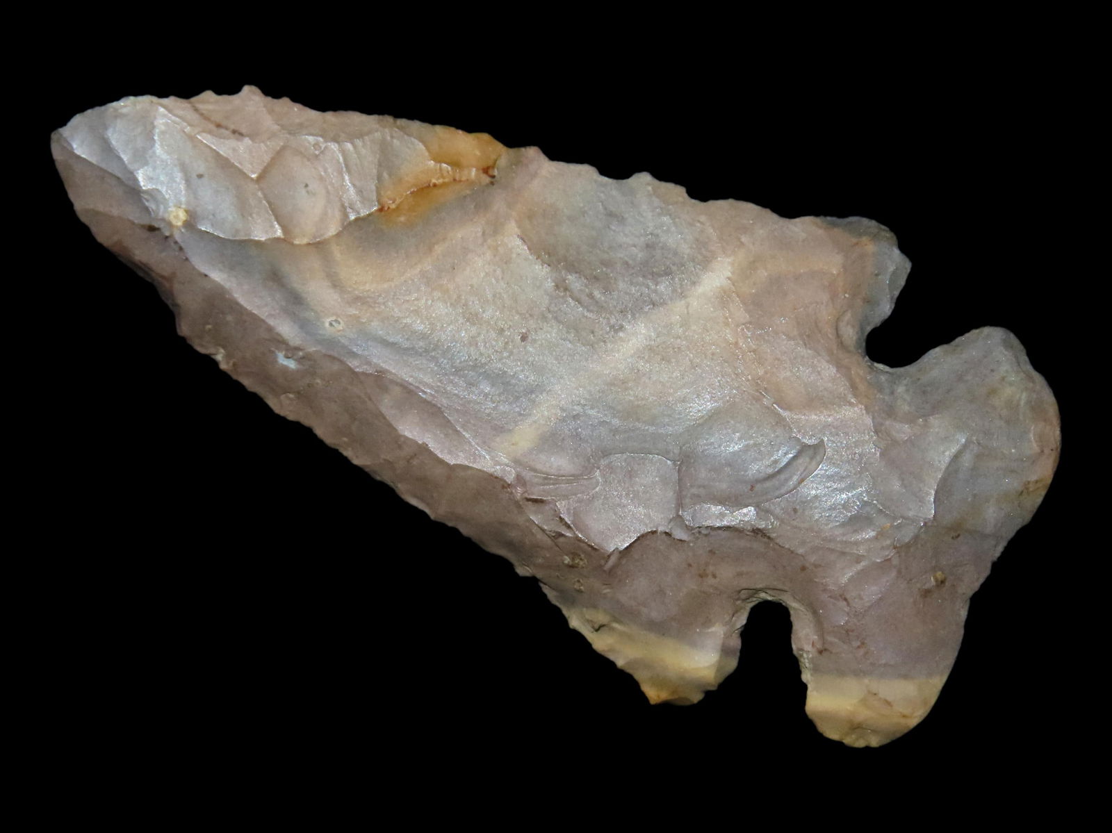 2 3/4" Dovetail Found in Southern Illinois (1 of 5)