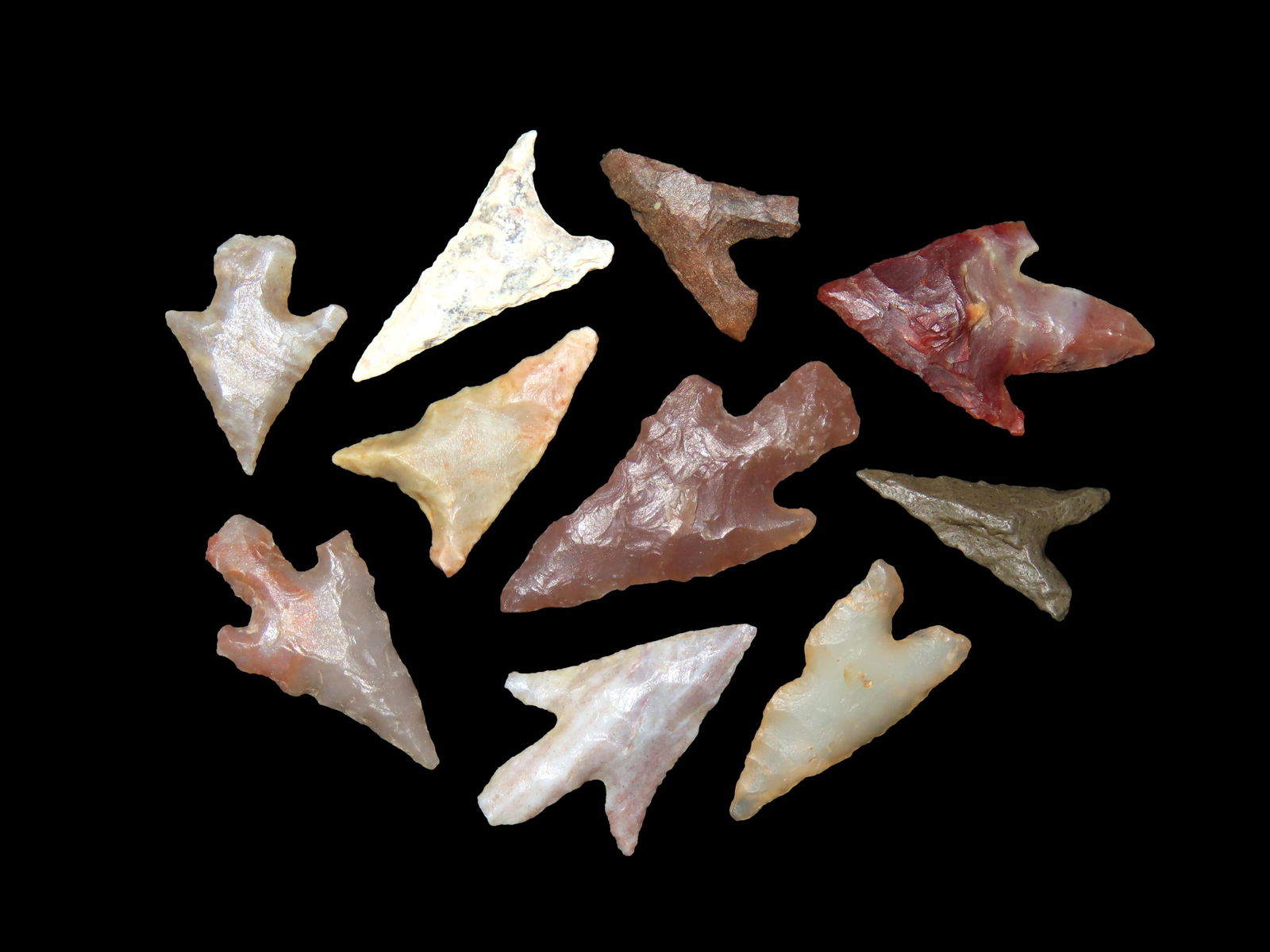 Grouping of Neolithic Arrowhead Found in Africa (1 of 2)