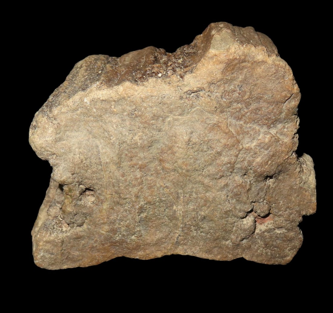 3 1/2" Petrified Wood Fossil Found in Brown Co Illinois (1 of 5)