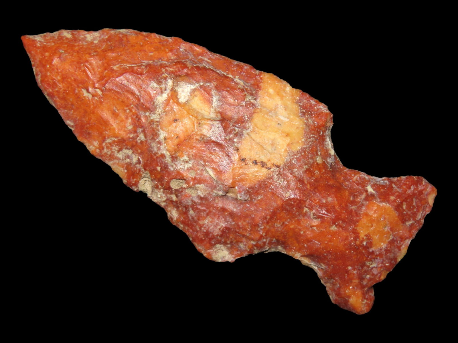 2 5/8" Riverstained Wooldand Point Found in Greene Co. Illinois (1 of 4)