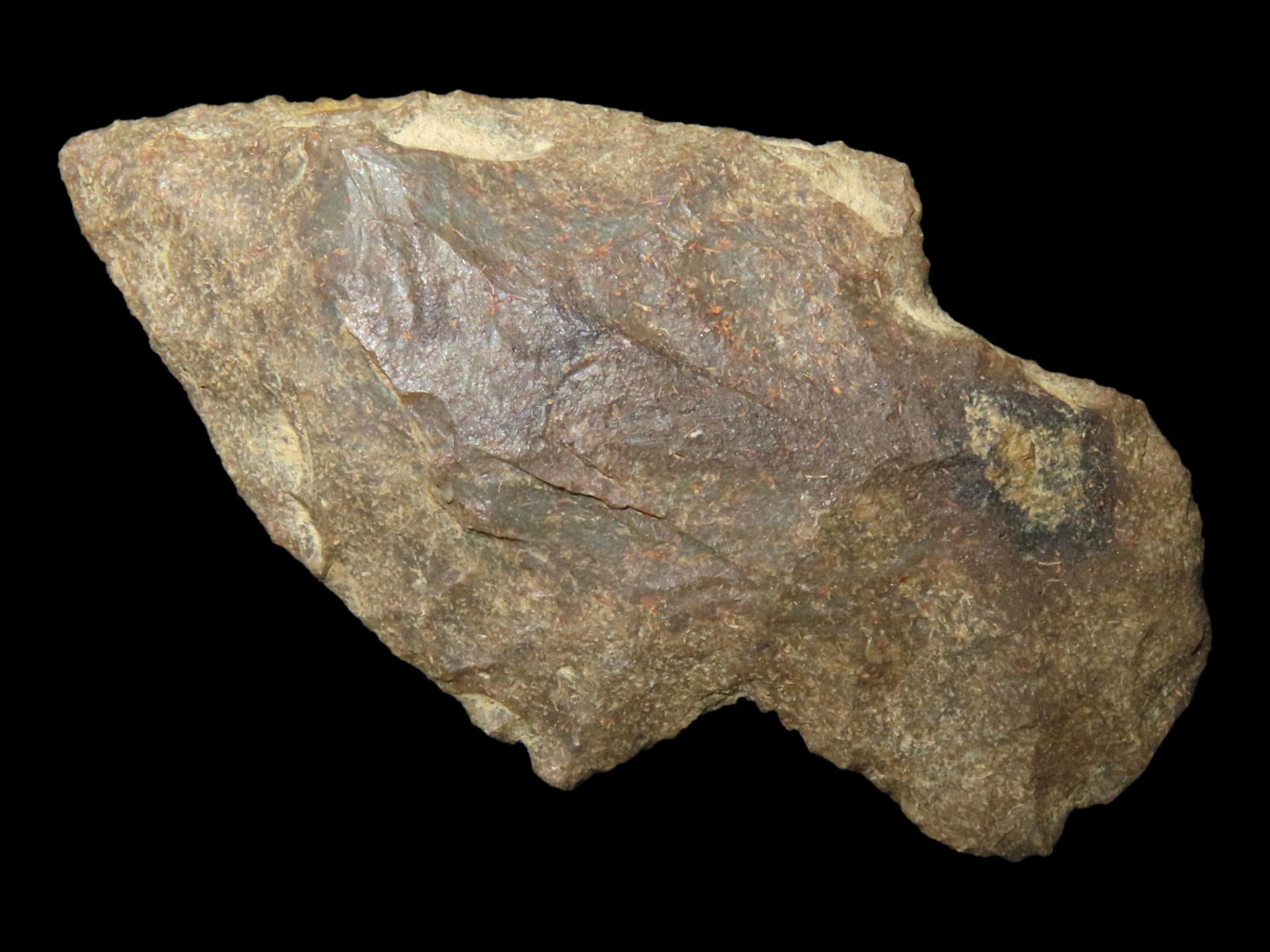 2 1/2" Adena Found in Kentucky (1 of 4)